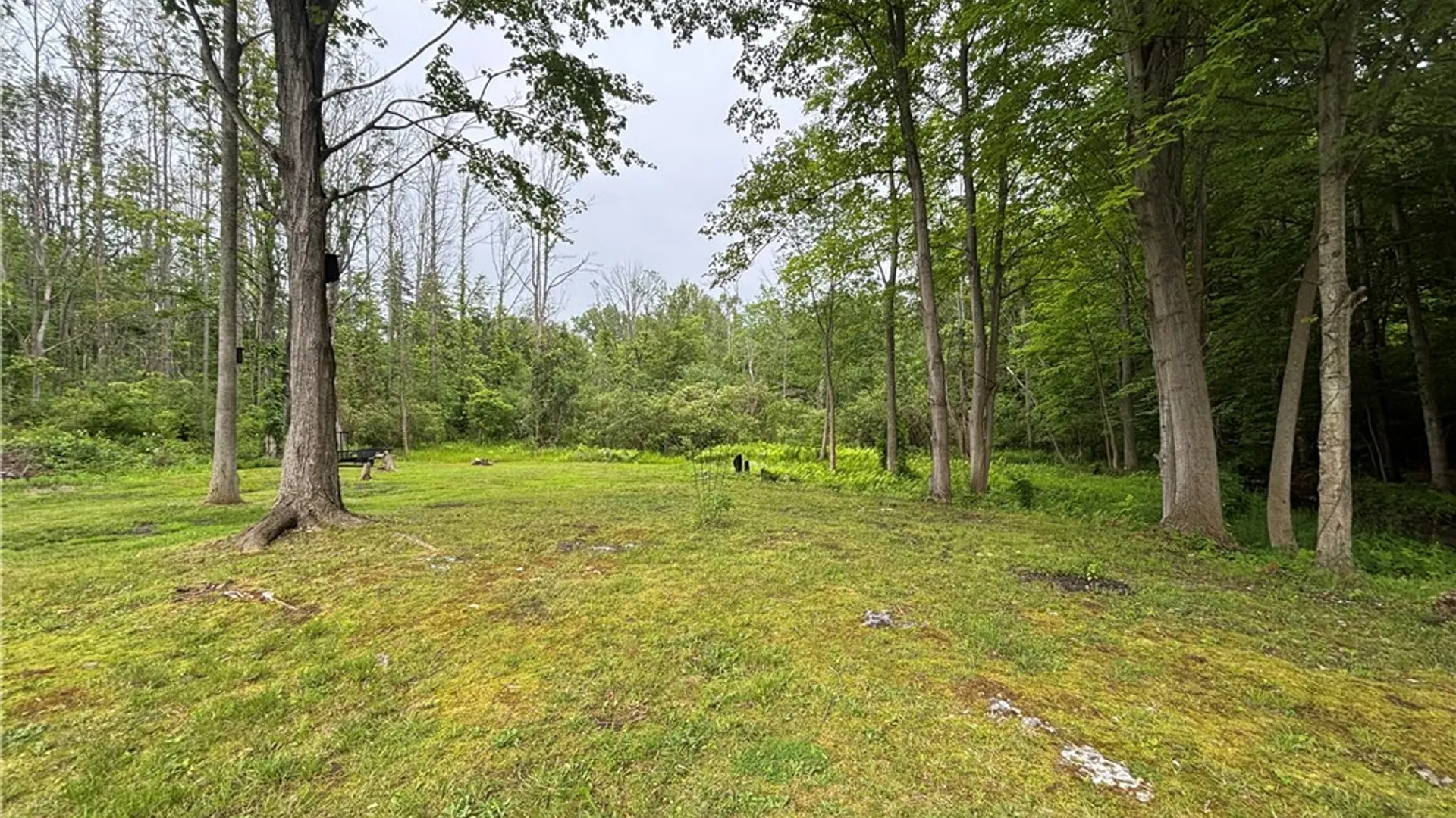 Property at 19 Miner Road, Scriba, NY 13126 8