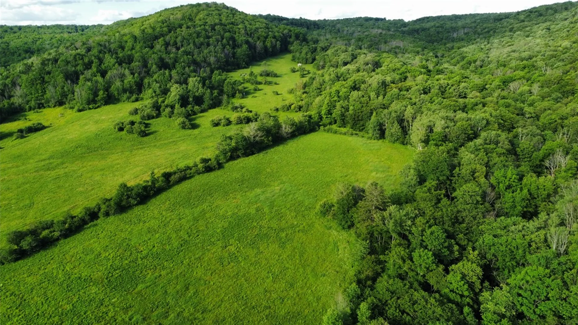 Property at 6618 Route 16, Franklinville, NY 14737 37