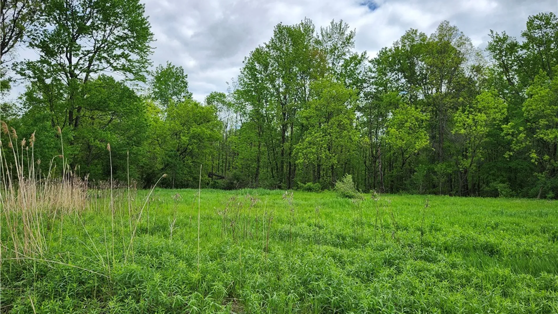 Property at Gifford Road, Rome, NY 13440 5
