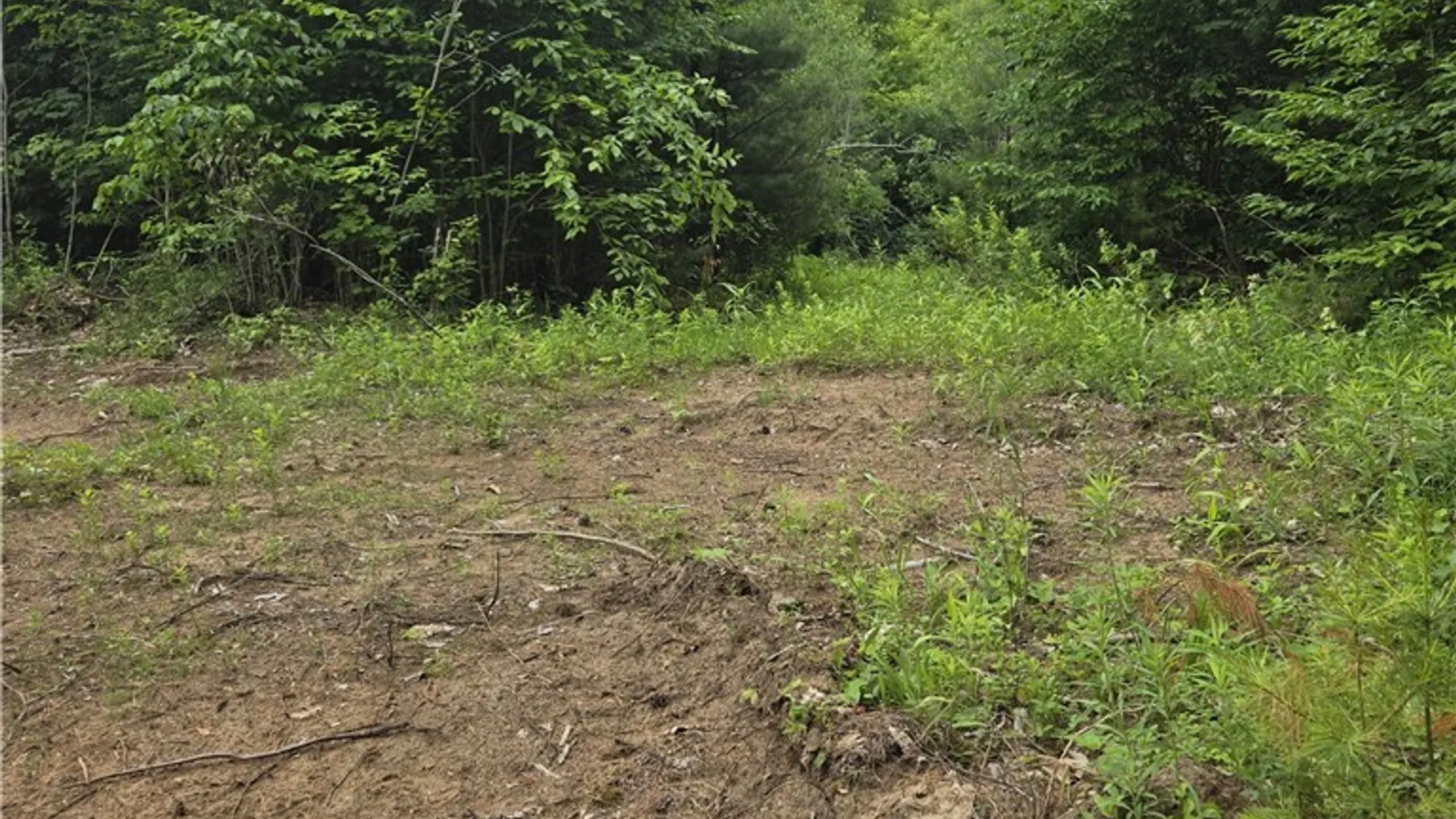 Property at 3516 Marmon Road, Lyonsdale, NY 13433 11