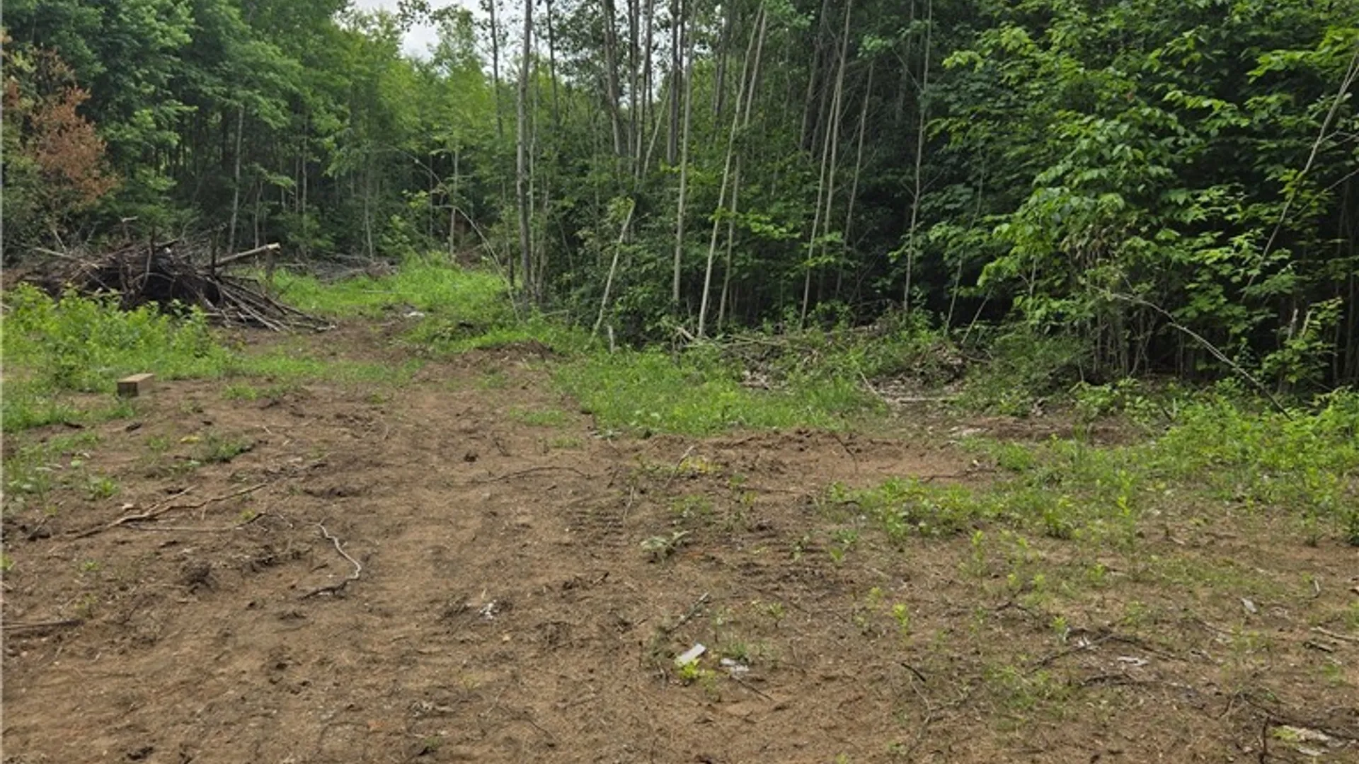 Property at 3516 Marmon Road, Lyonsdale, NY 13433 12