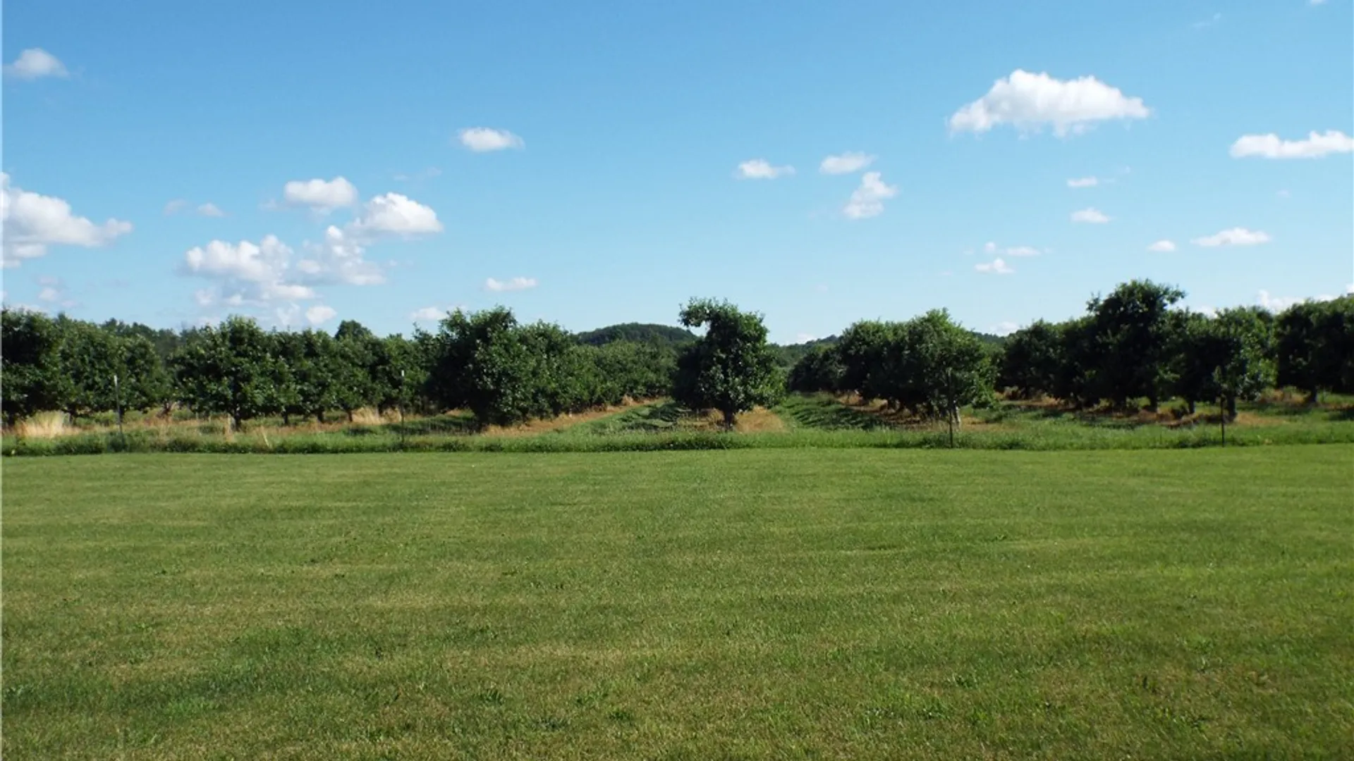 Property at 6136 Joy Road, Sodus, NY 14551 47