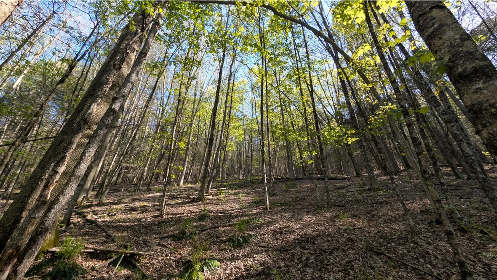 Property at Lot 5 East River Road, Andes, NY 13731 39