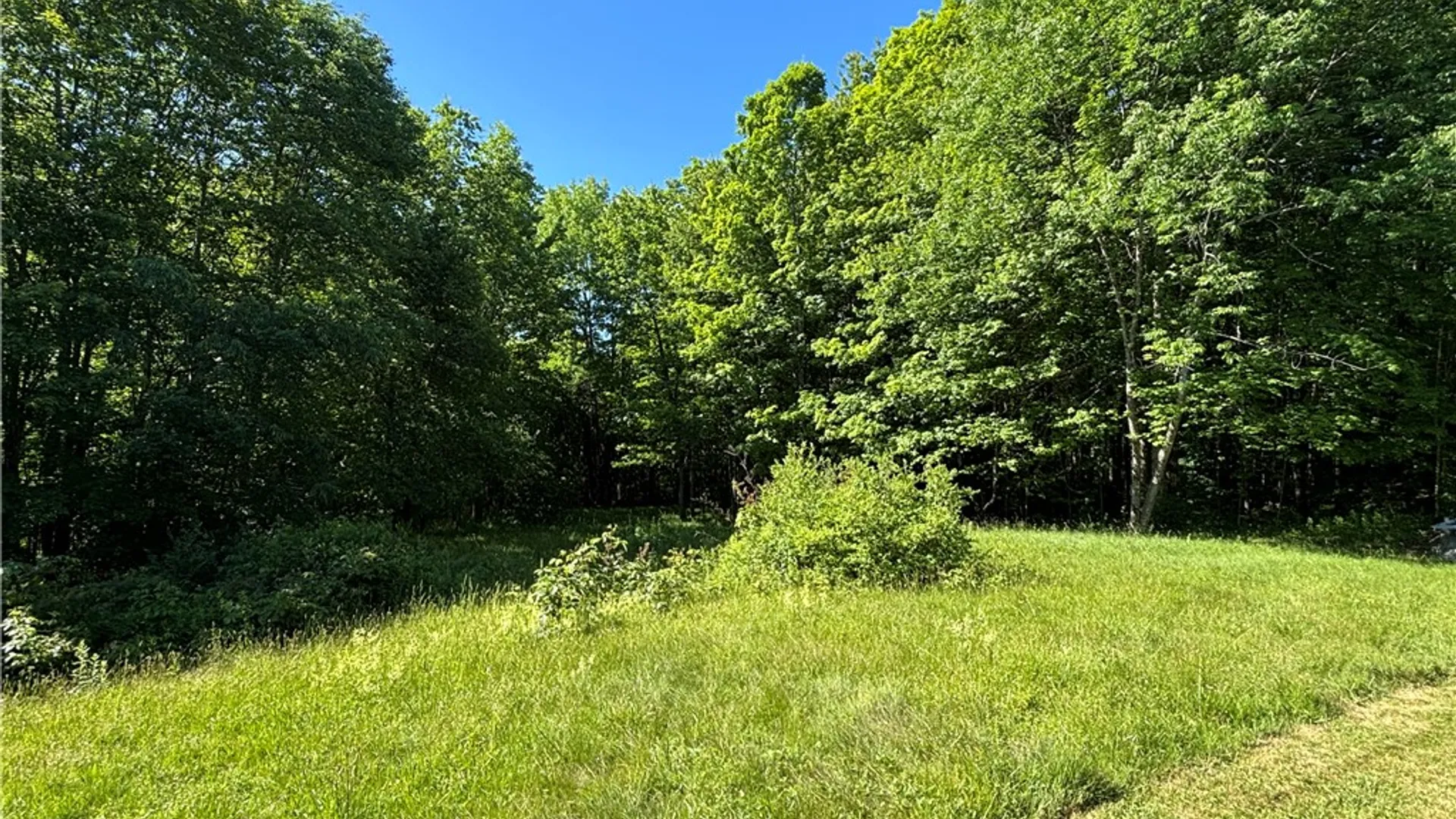 Property at 125 Maple Valley Road, Decatur, NY 12197 30