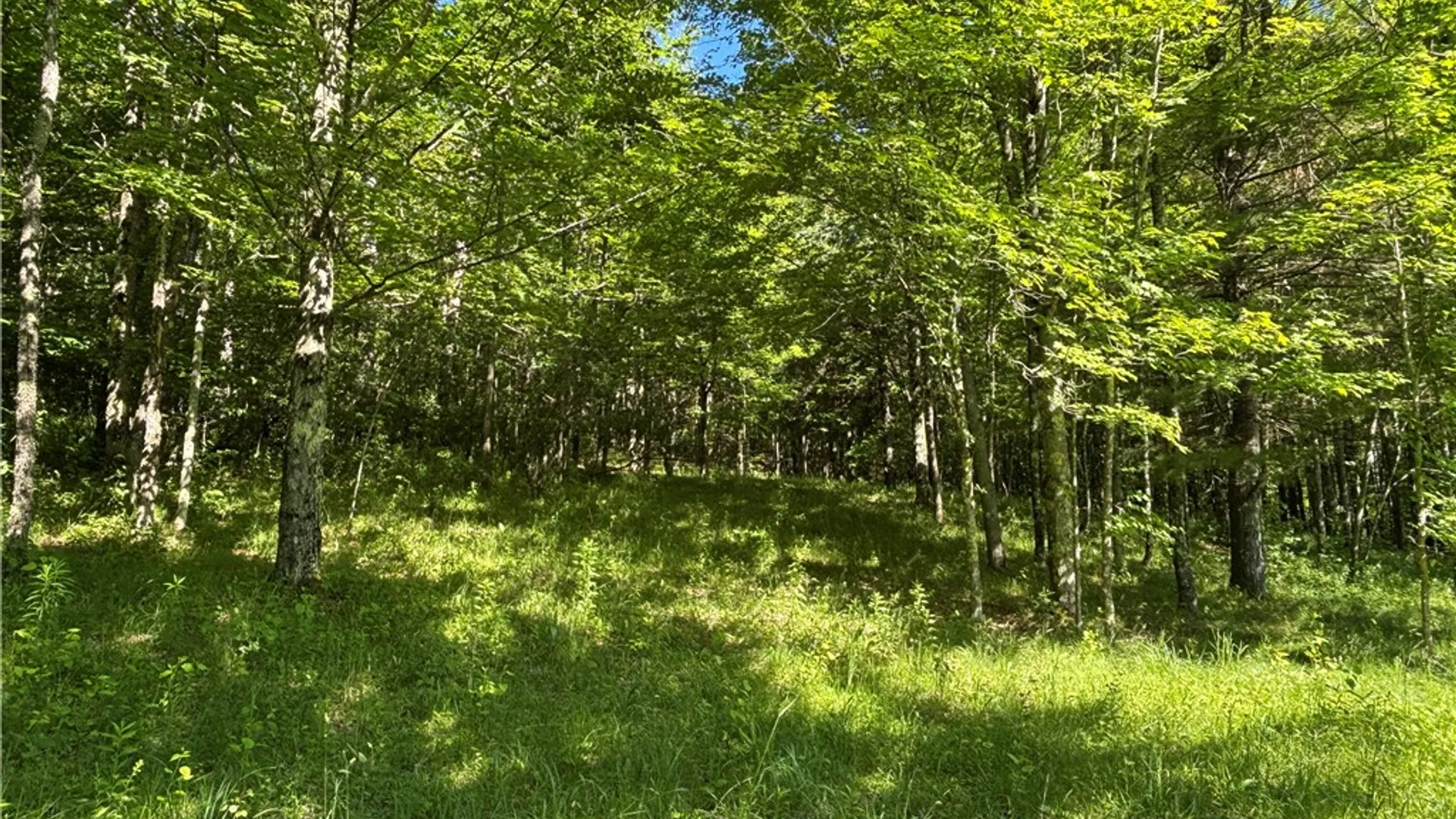 Property at 125 Maple Valley Road, Decatur, NY 12197 32