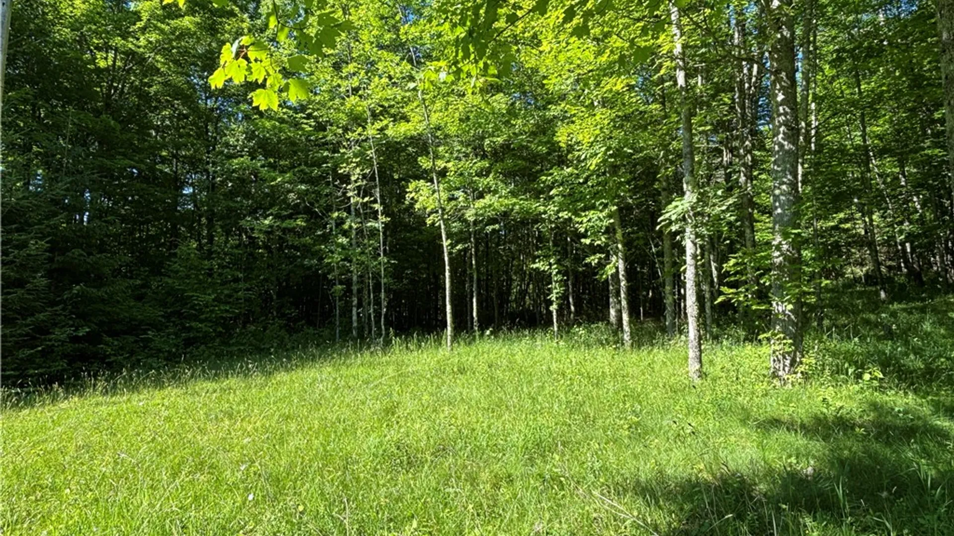Property at 125 Maple Valley Road, Decatur, NY 12197 33