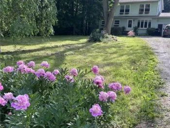 211 Muriel Street, Ithaca Town, NY 14850