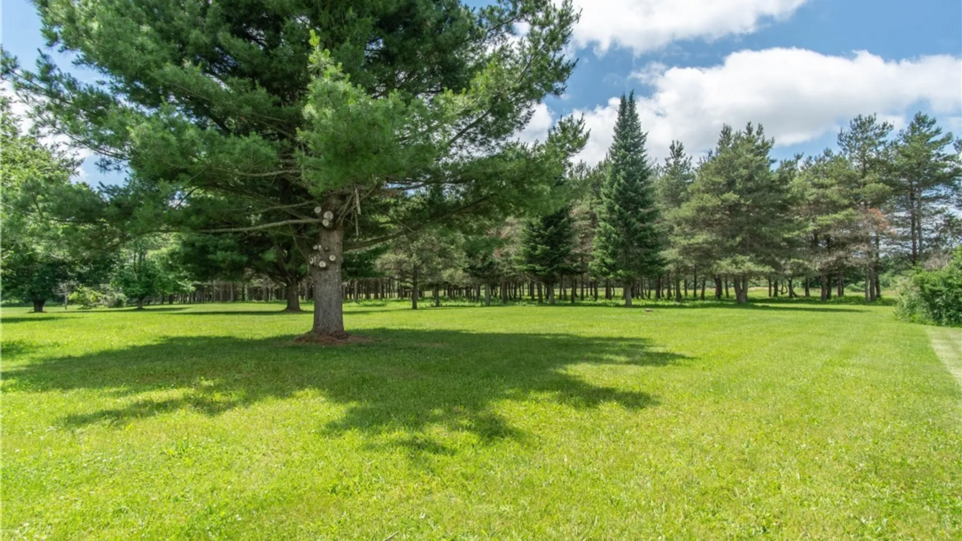 Property at 25403 County Route 32, Pamelia, NY 13616 30