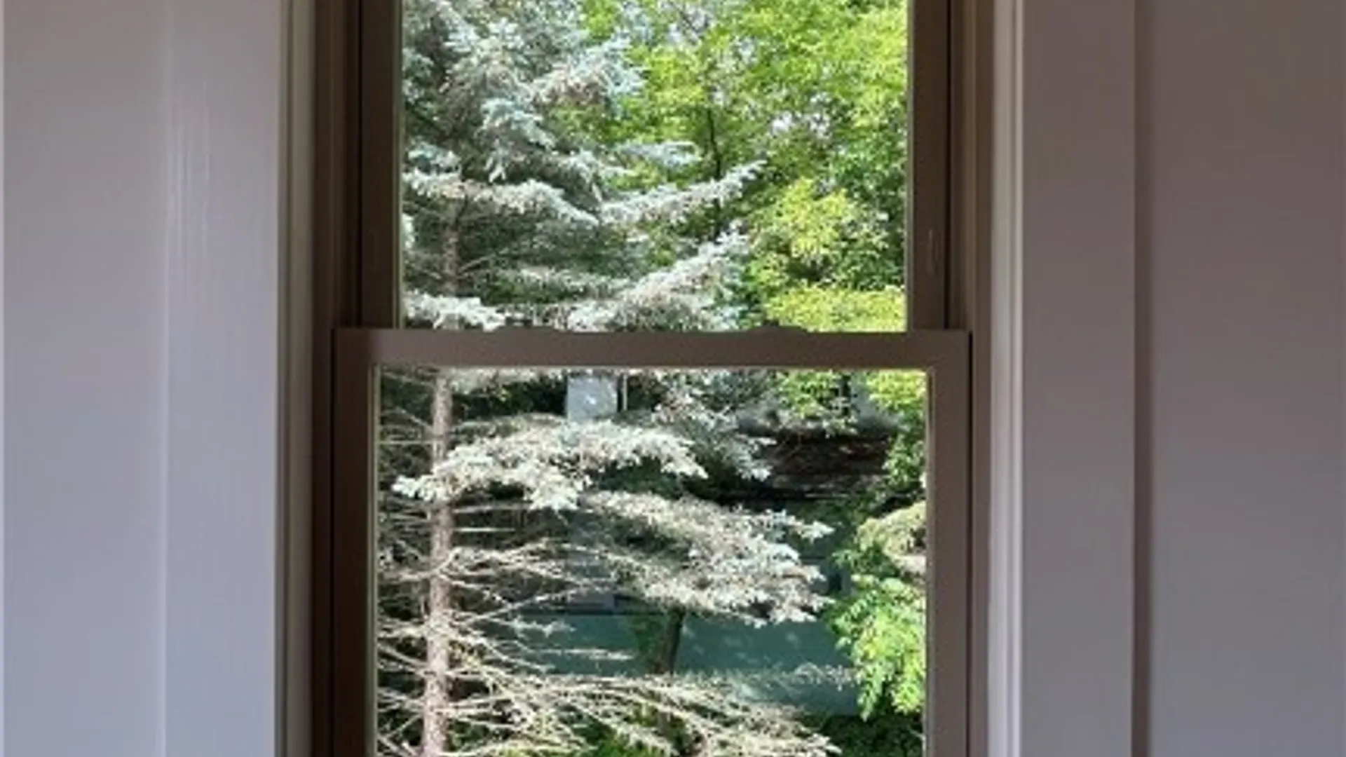 Property at 30 Main Street, Dryden, NY 13068 29