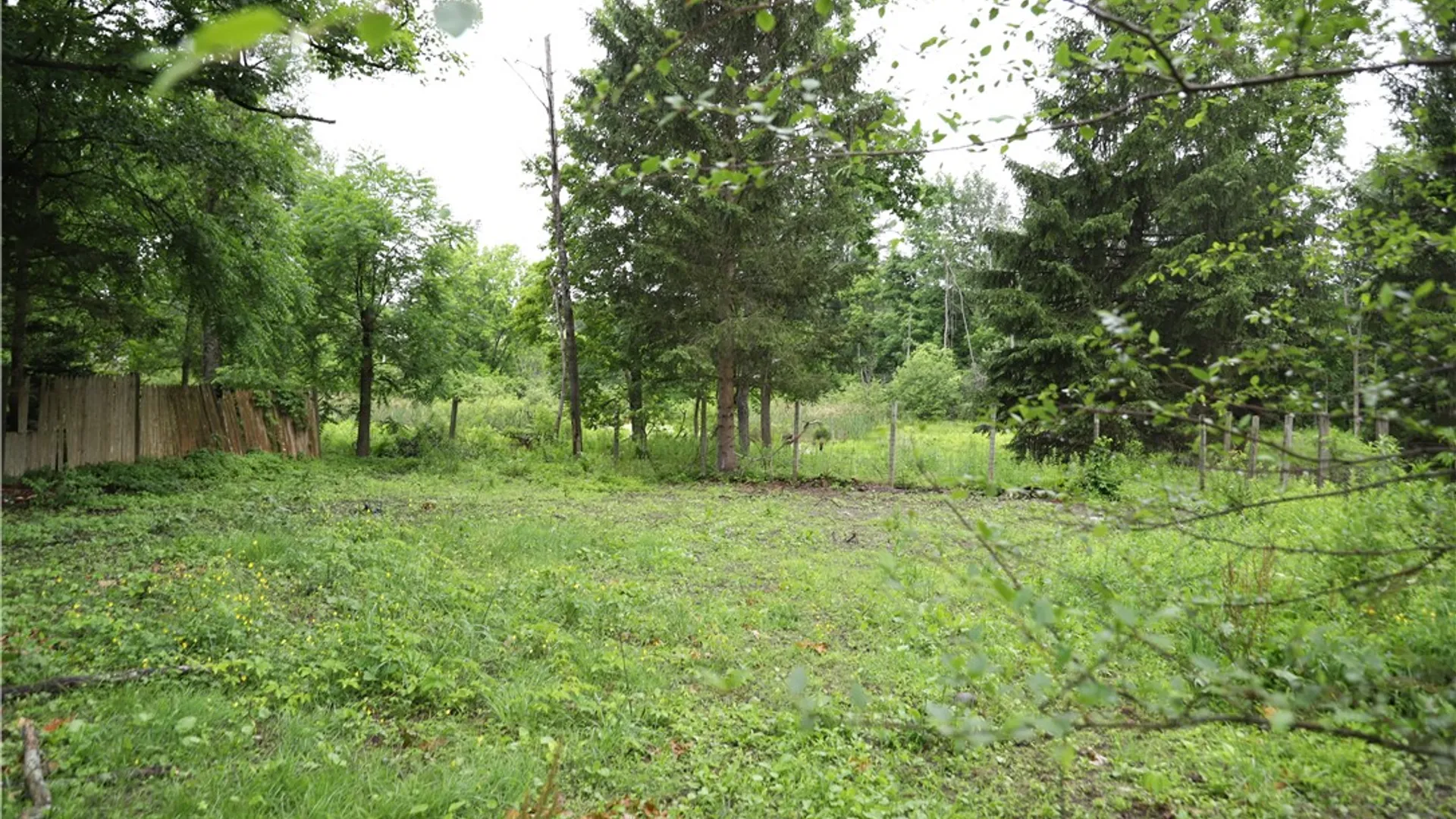 Property at 30 Main Street, Dryden, NY 13068 38