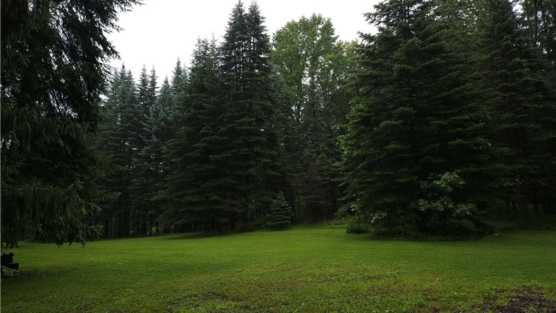 Property at 8415 Sisson Highway, Eden, NY 14057 11