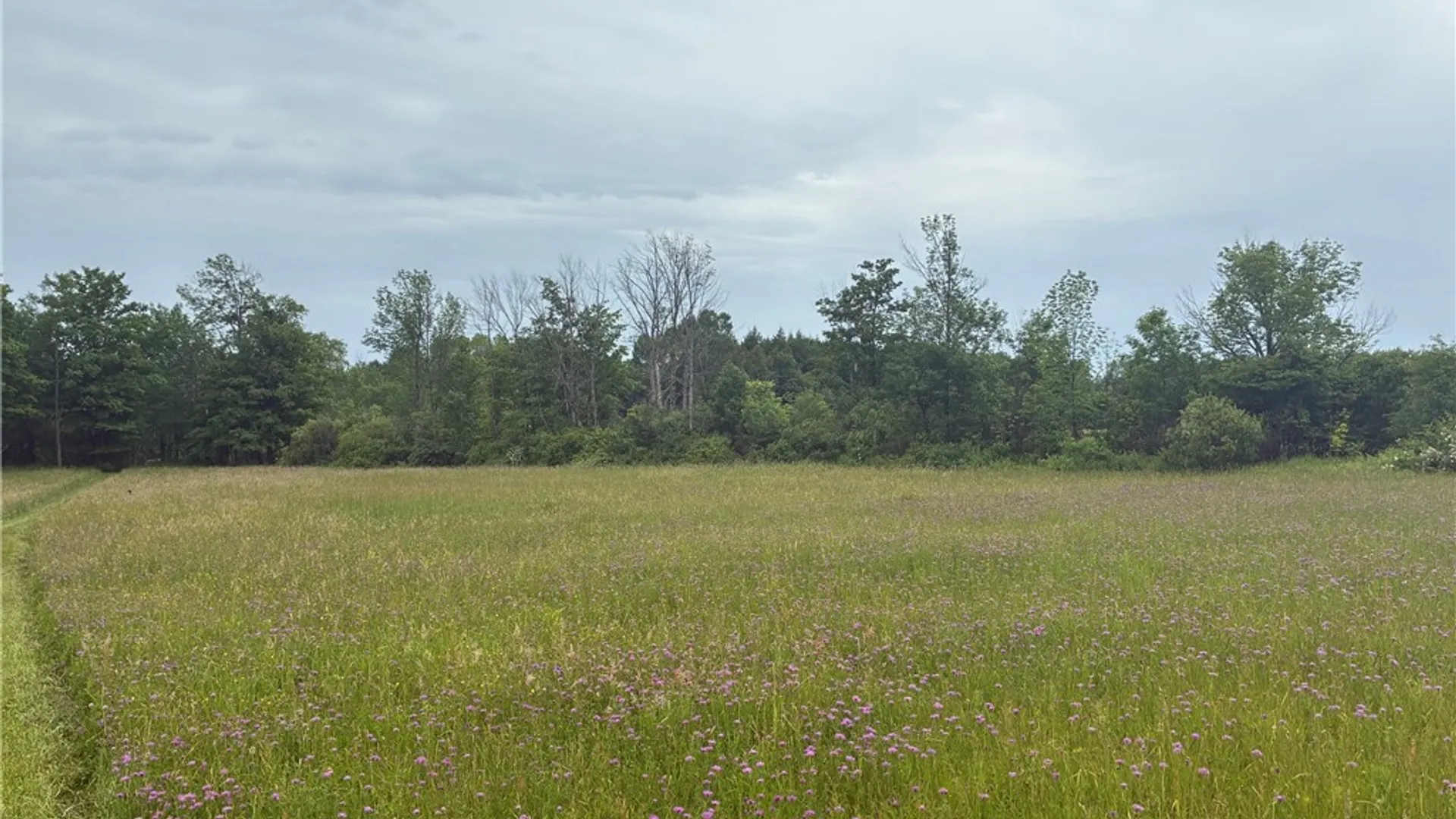 Property at 00 Starr Hill Road, Steuben, NY 13438 4