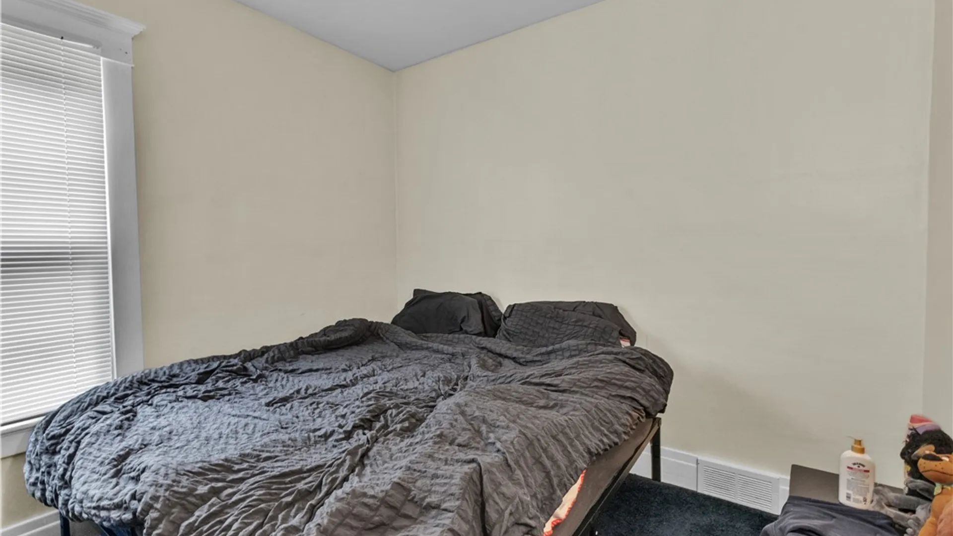 Property at 230 N Park Avenue, Buffalo, NY 14216 33