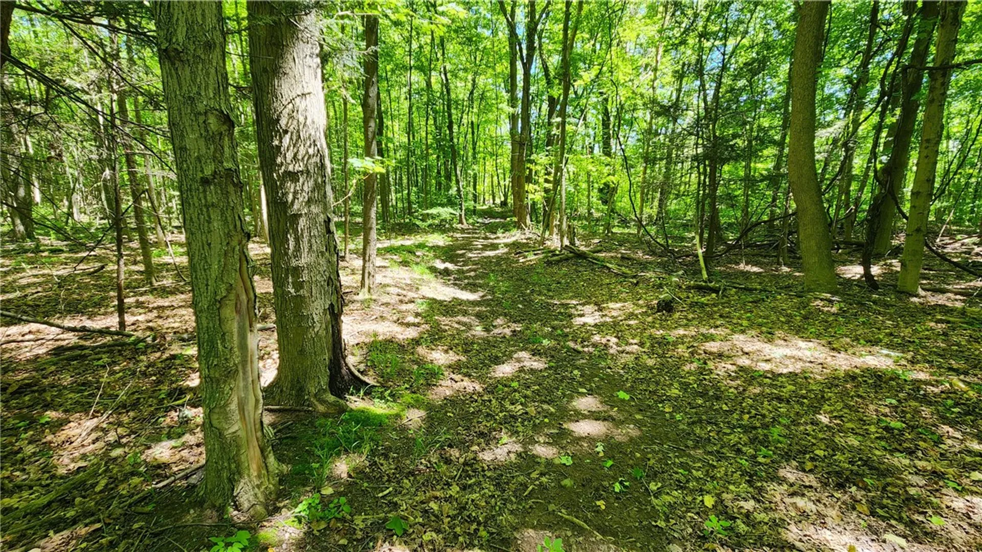 Property at 7383 Lakeside Road, Ontario, NY 14519 37