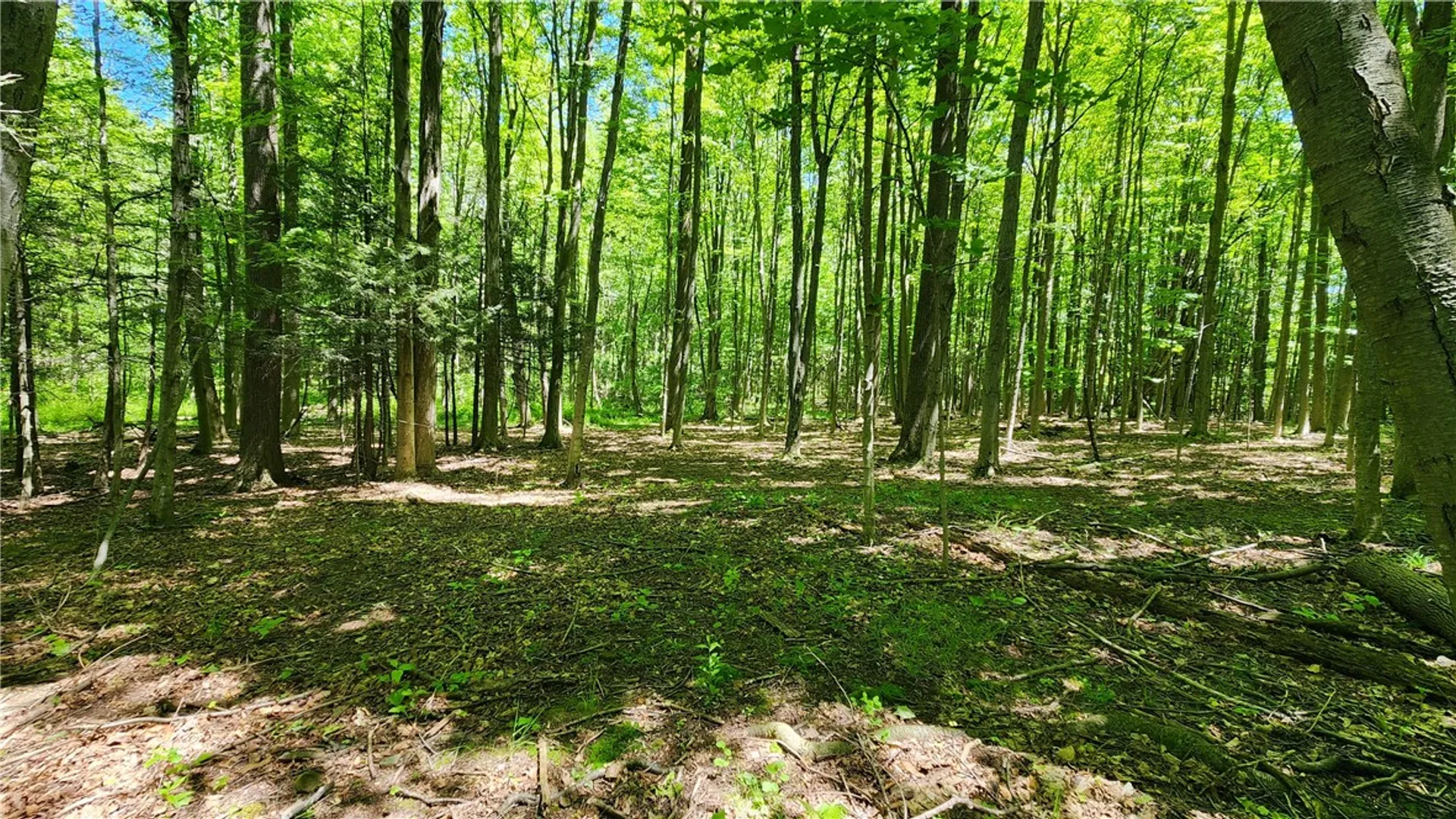 Property at 7383 Lakeside Road, Ontario, NY 14519 38
