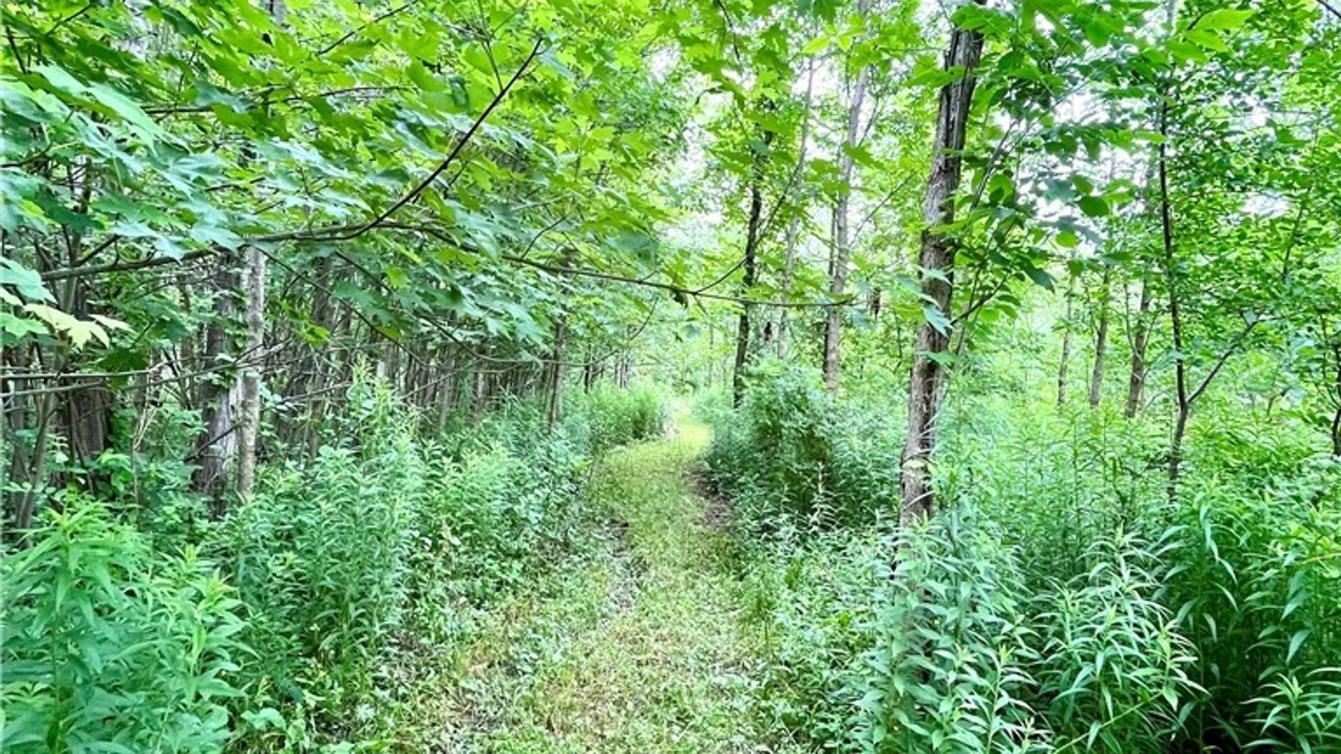 Property at 13657 Mc Gibbon Road, Sterling, NY 13156 13