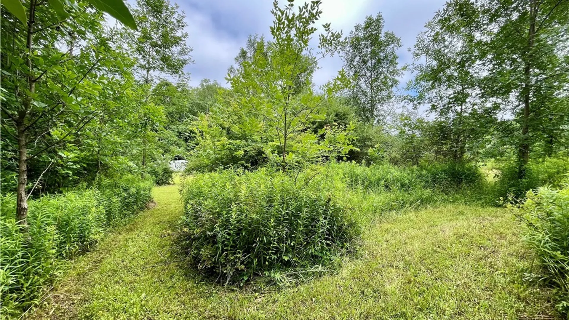 Property at 13657 Mc Gibbon Road, Sterling, NY 13156 15