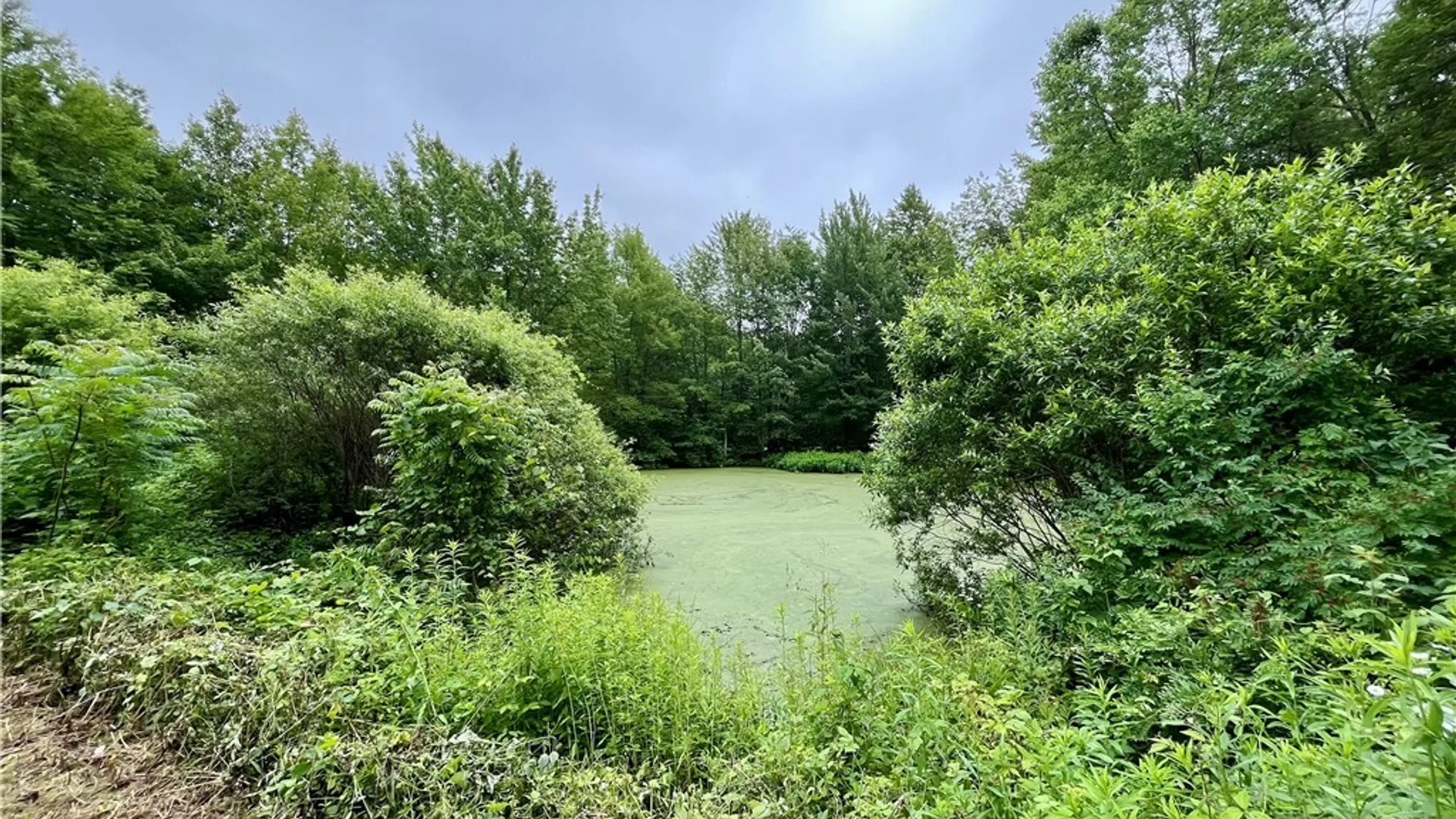 Property at 13657 Mc Gibbon Road, Sterling, NY 13156 20