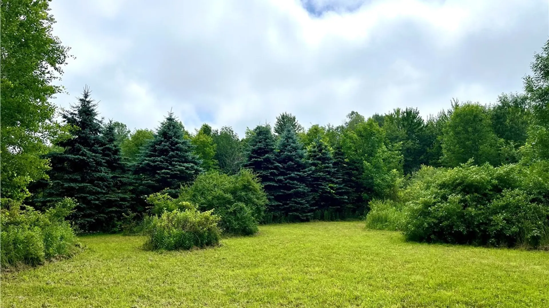 Property at 13657 Mc Gibbon Road, Sterling, NY 13156 8