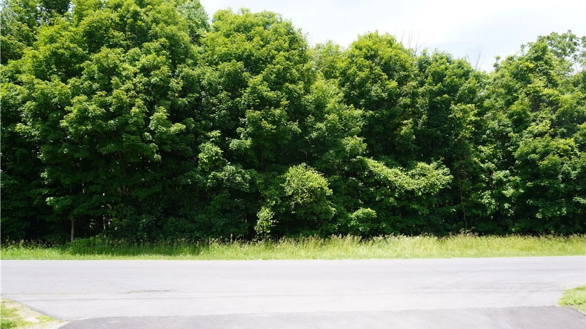 Property at Lot 10 Middle Road, Scriba, NY 13126 2