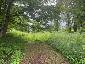 Property at 0 Stauber Rd, Groton, NY 13073