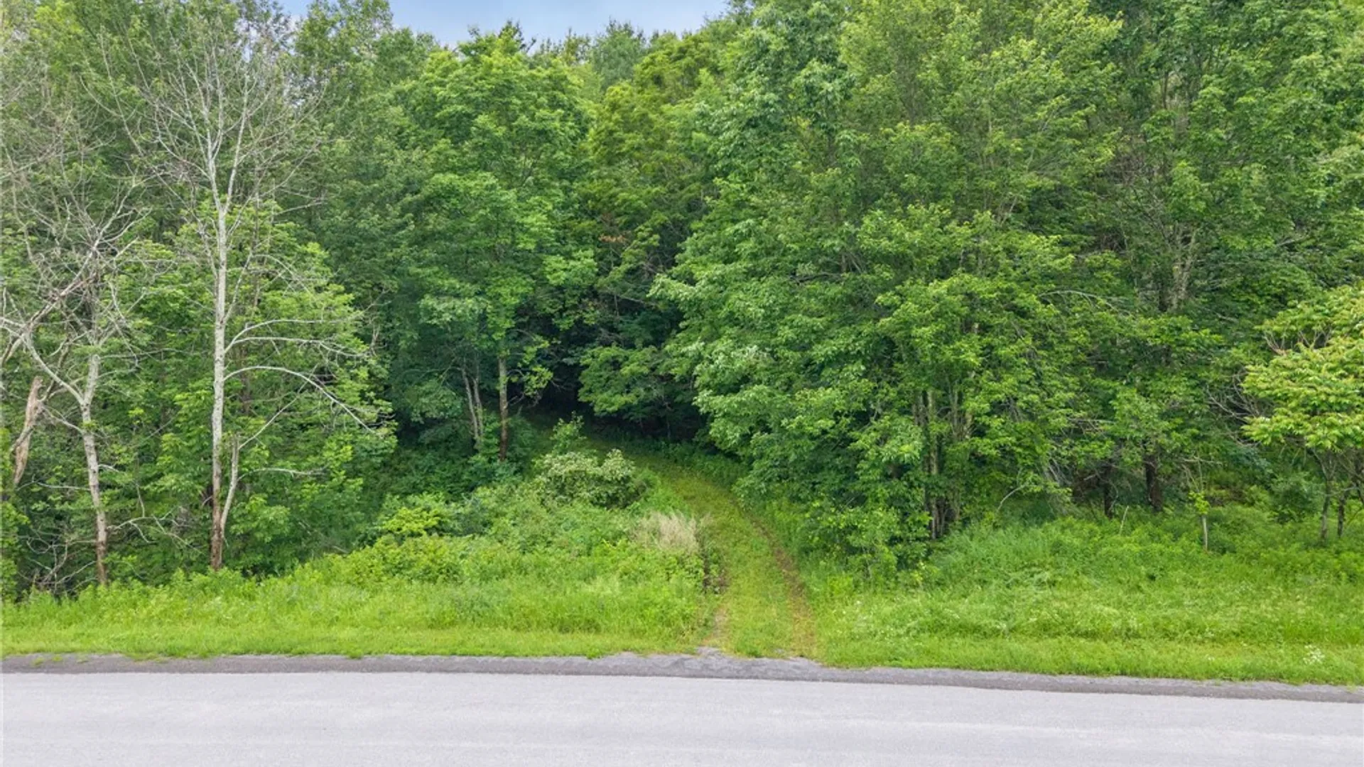 Property at 159 Ely Road, Gilboa, NY 12076 39