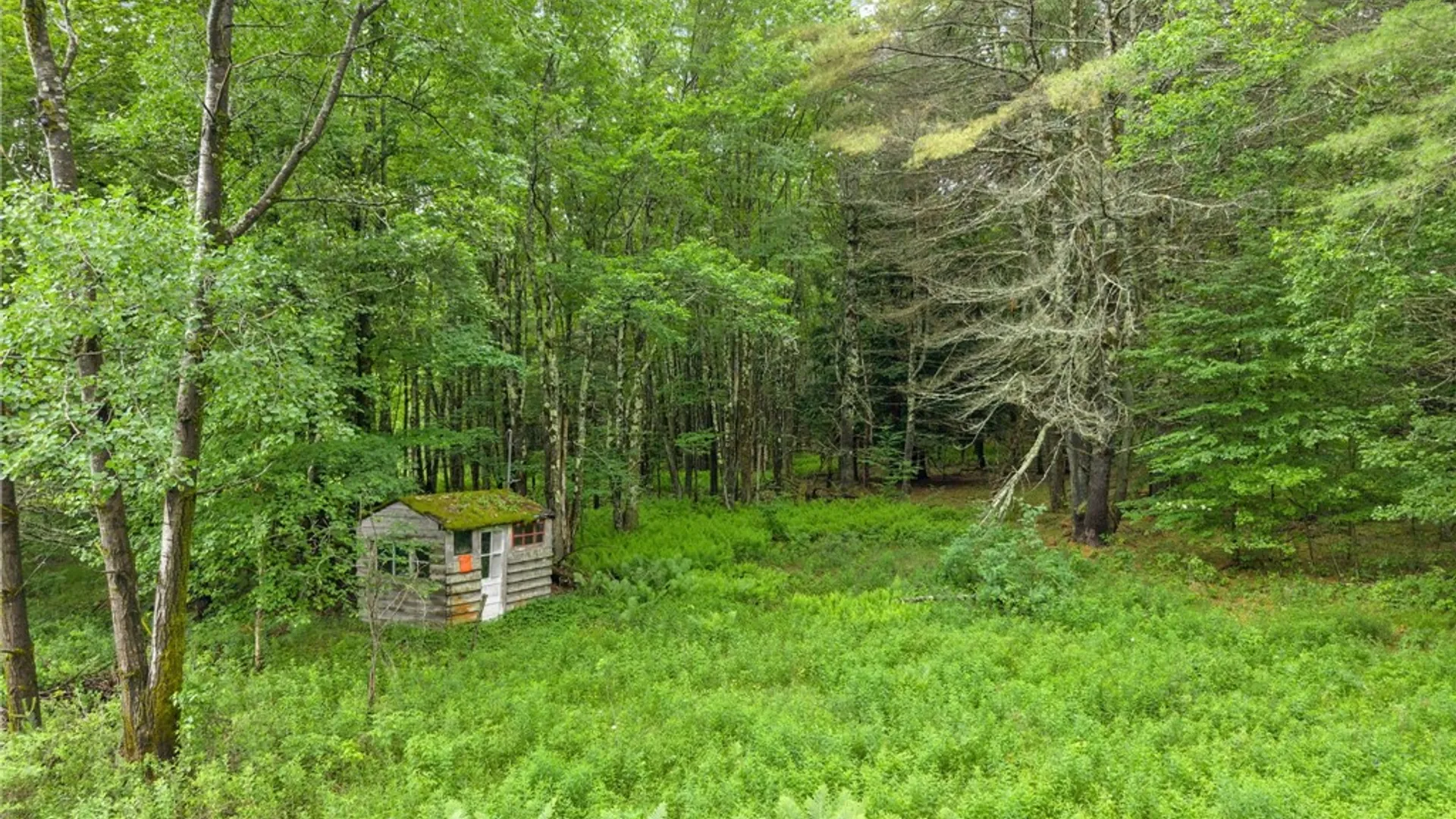 Property at 159 Ely Road, Gilboa, NY 12076 40