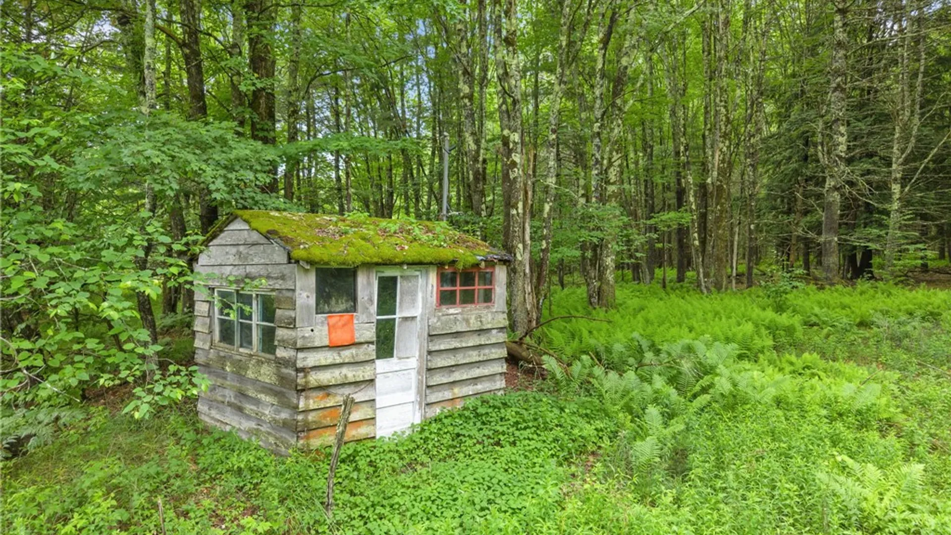 Property at 159 Ely Road, Gilboa, NY 12076 41