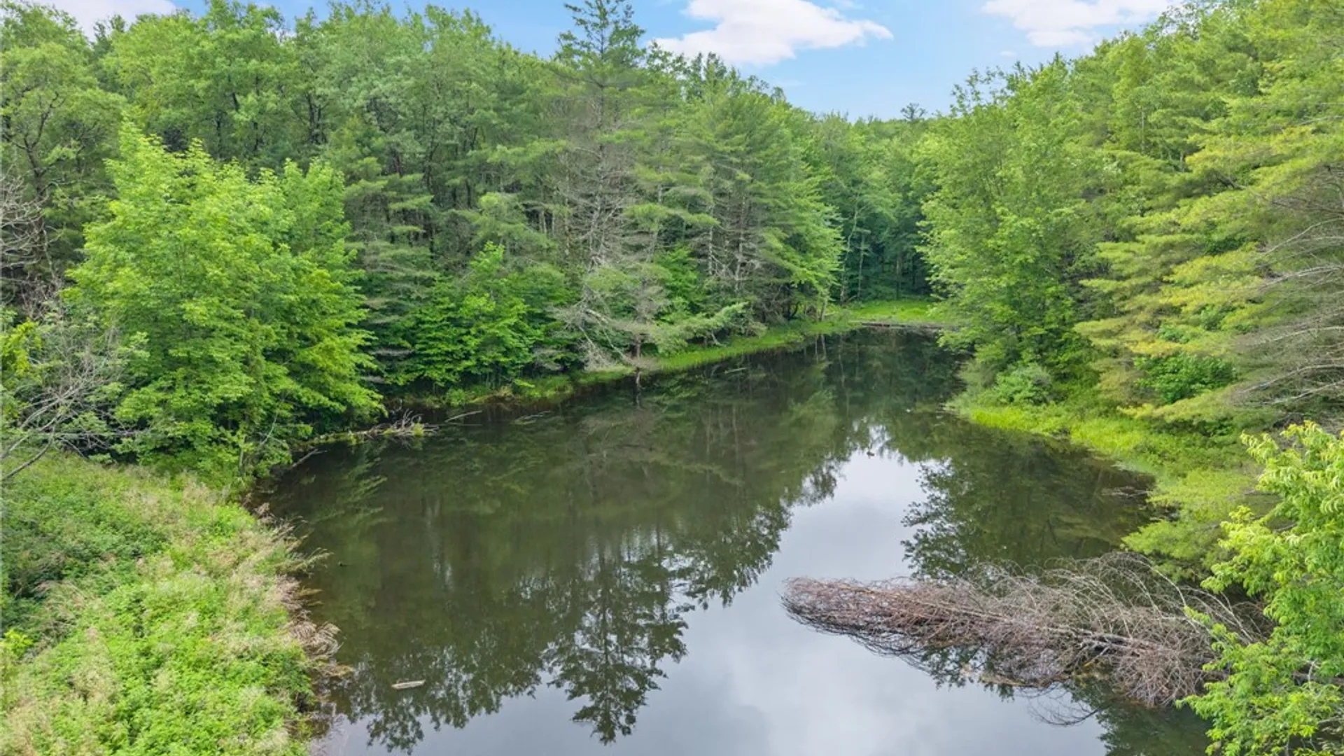 Property at 159 Ely Road, Gilboa, NY 12076 42
