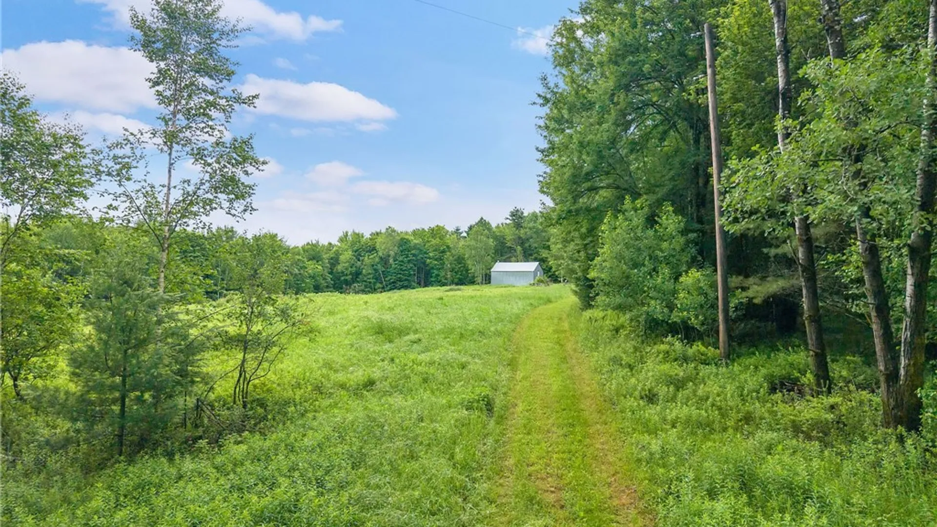 Property at 159 Ely Road, Gilboa, NY 12076 46