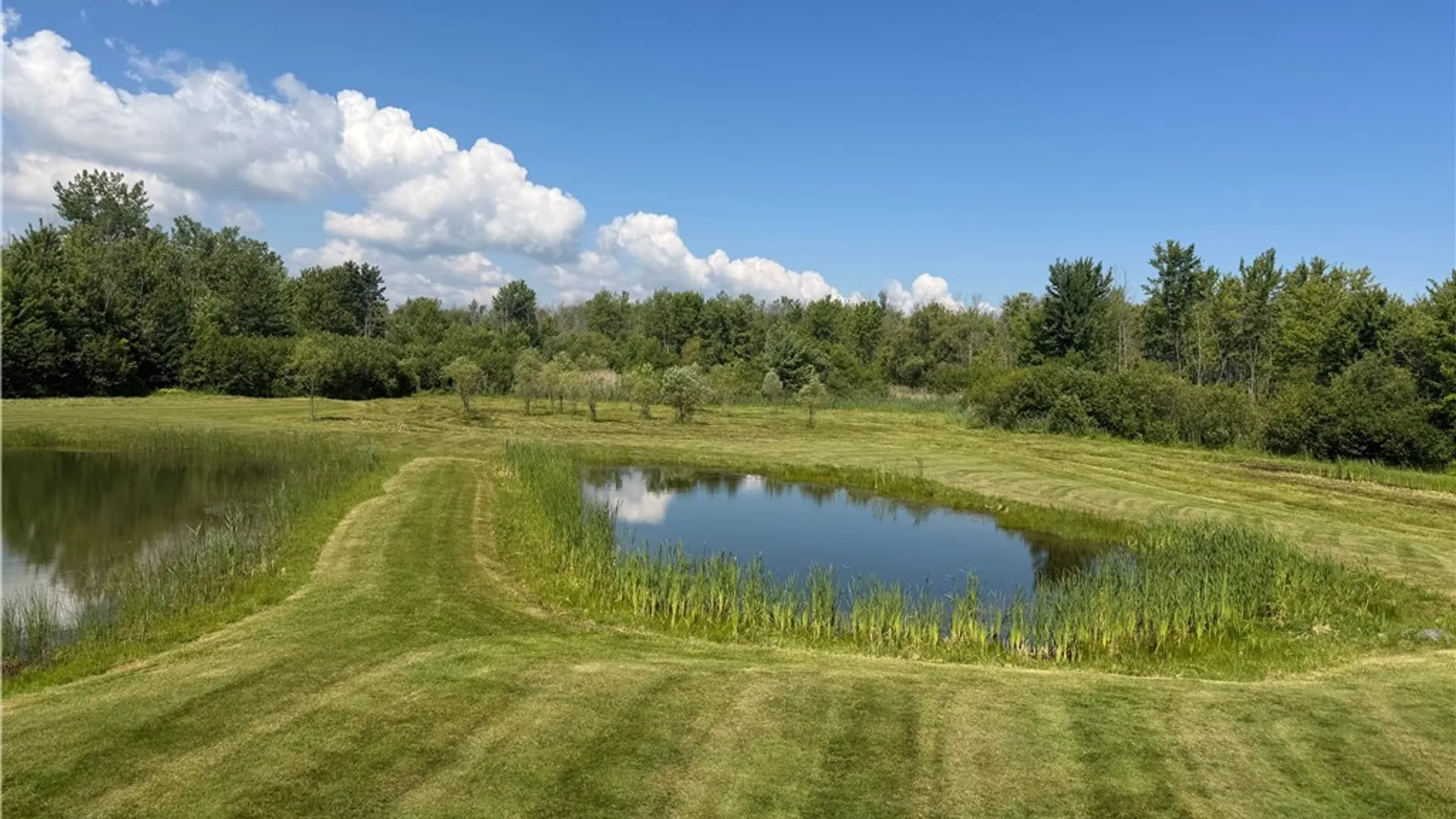 Property at 131 Harbour Town, Sullivan, NY 13030 27