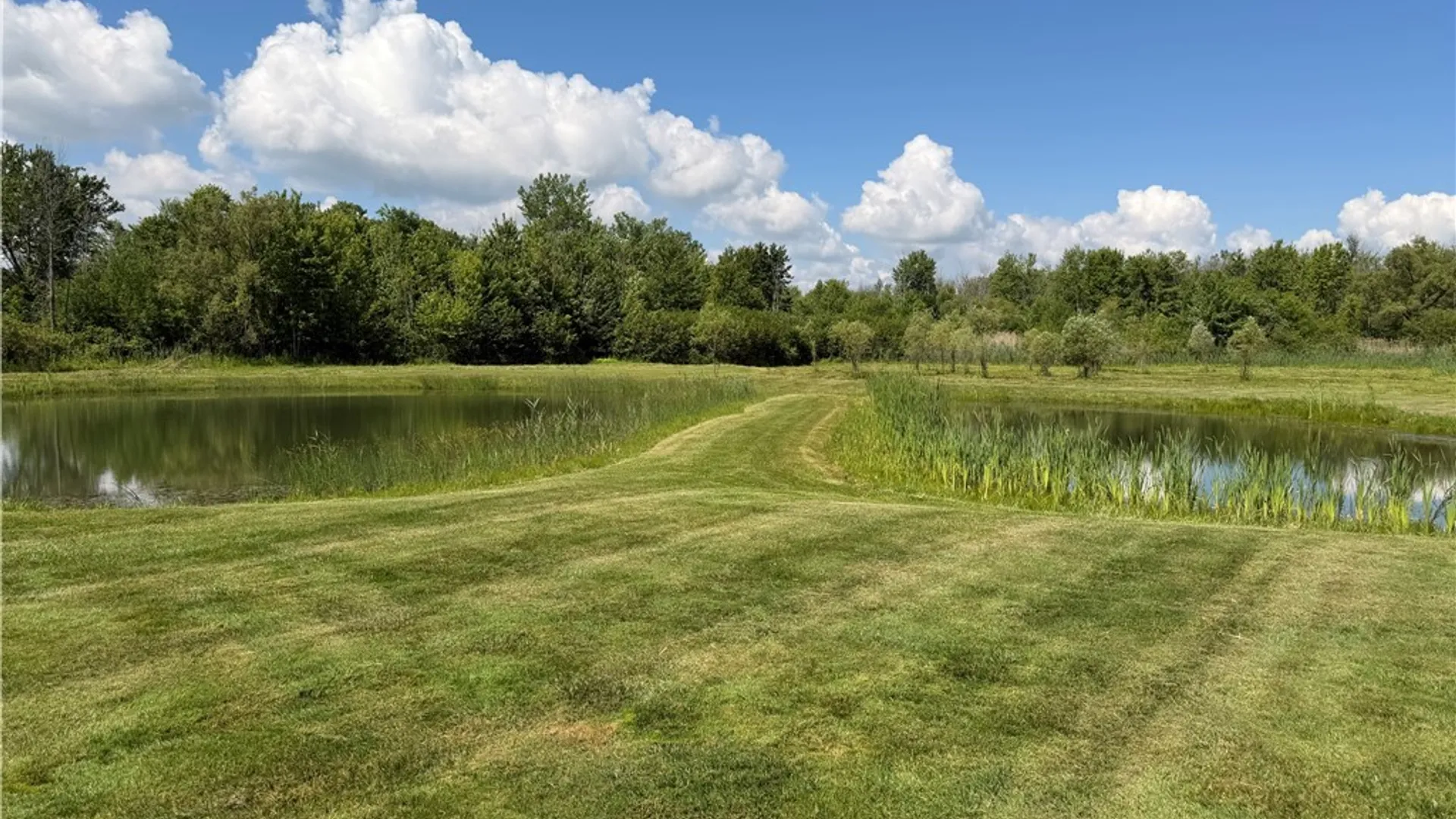 Property at 131 Harbour Town, Sullivan, NY 13030 31