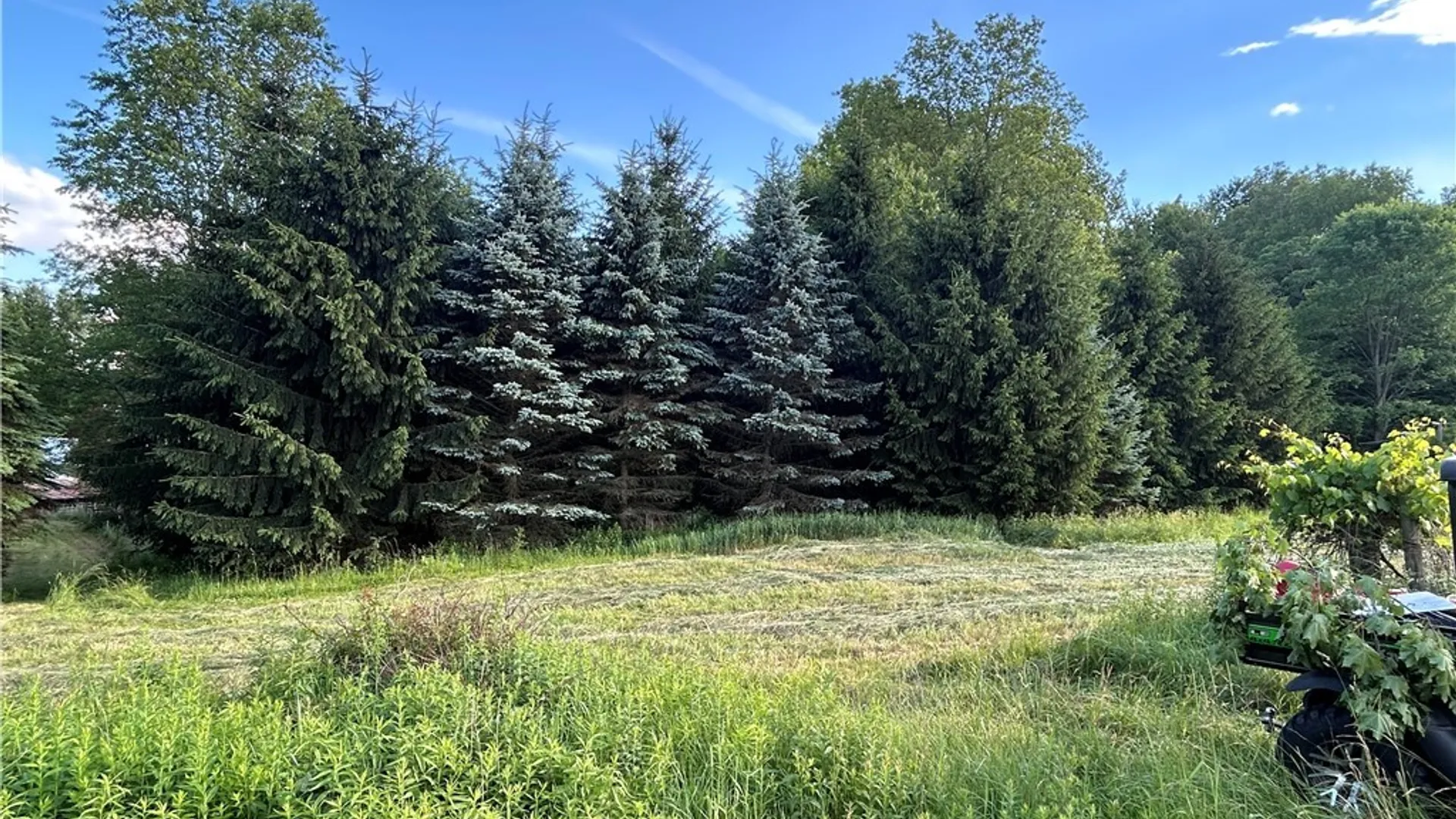 Property at 2492 Busti Stillwater Road, Kiantone, NY 14701 10