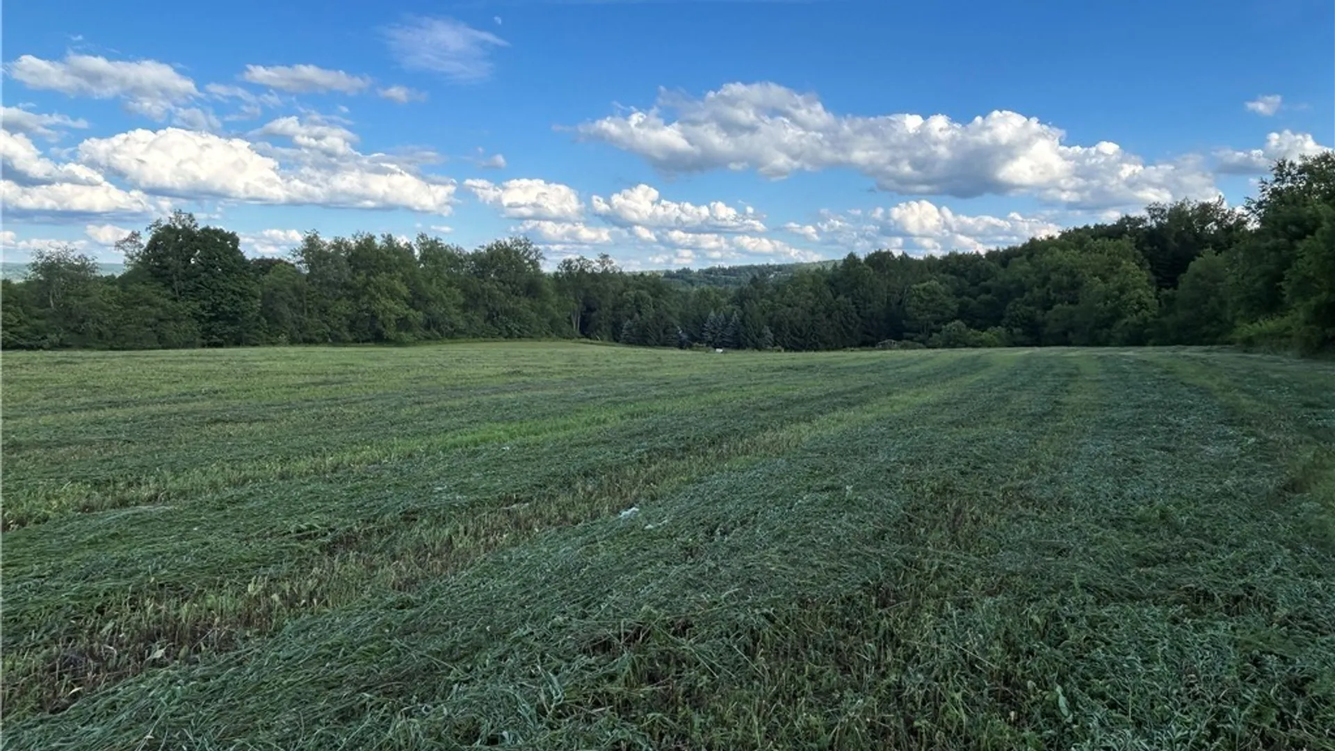 Property at 2492 Busti Stillwater Road, Kiantone, NY 14701 13