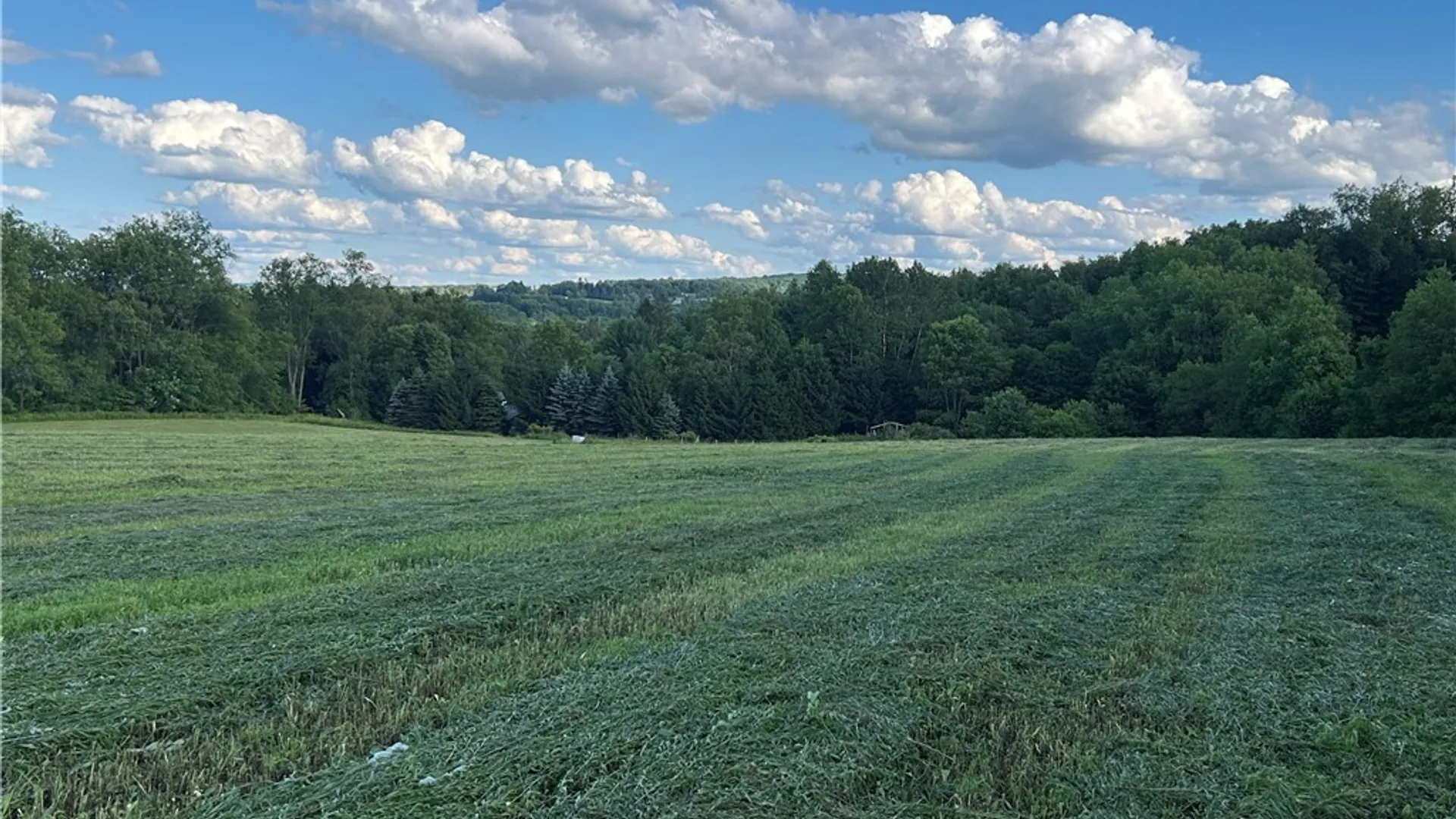 Property at 2492 Busti Stillwater Road, Kiantone, NY 14701 14