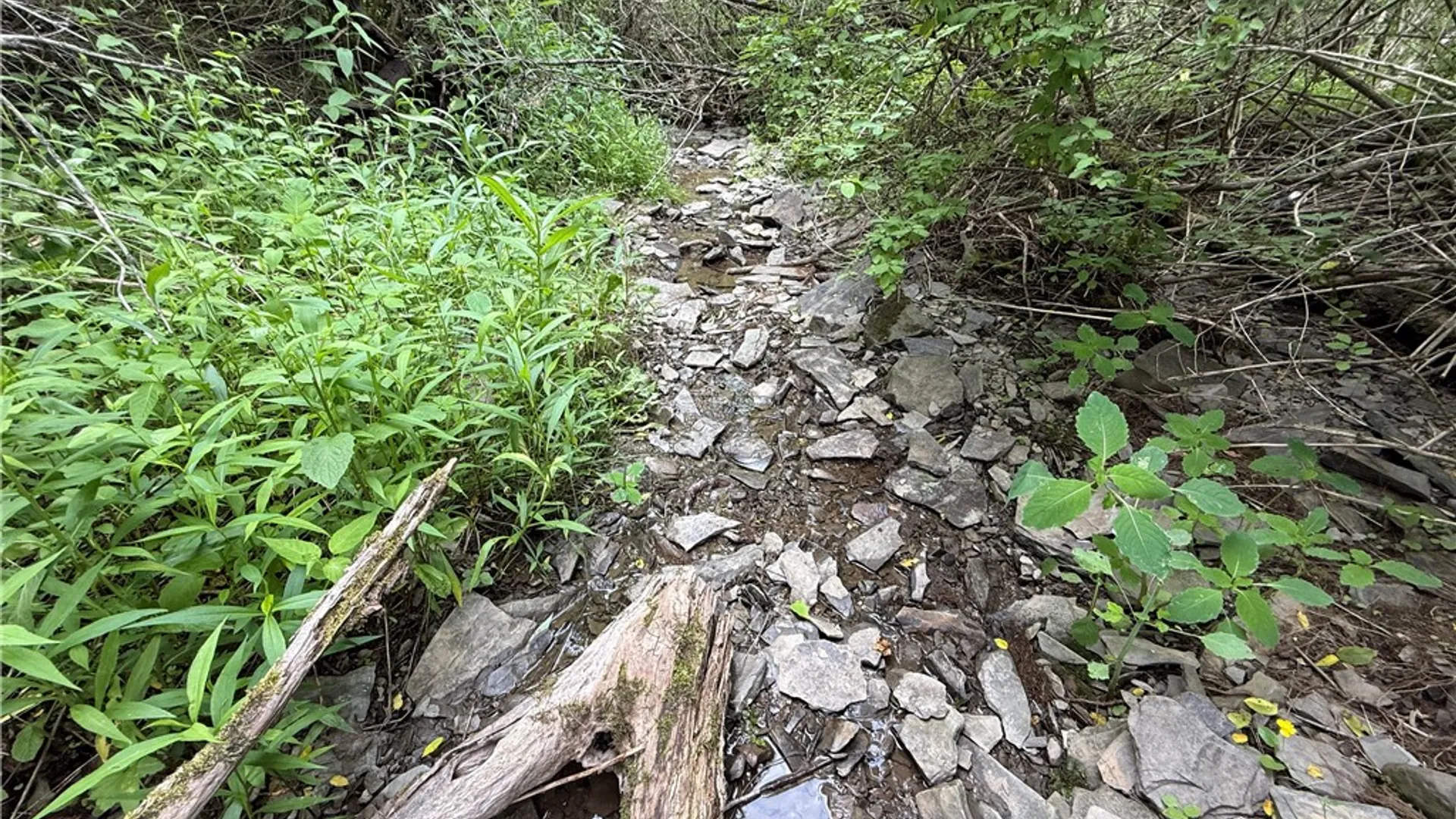 Property at Tucker Road, Enfield, NY 14886 10