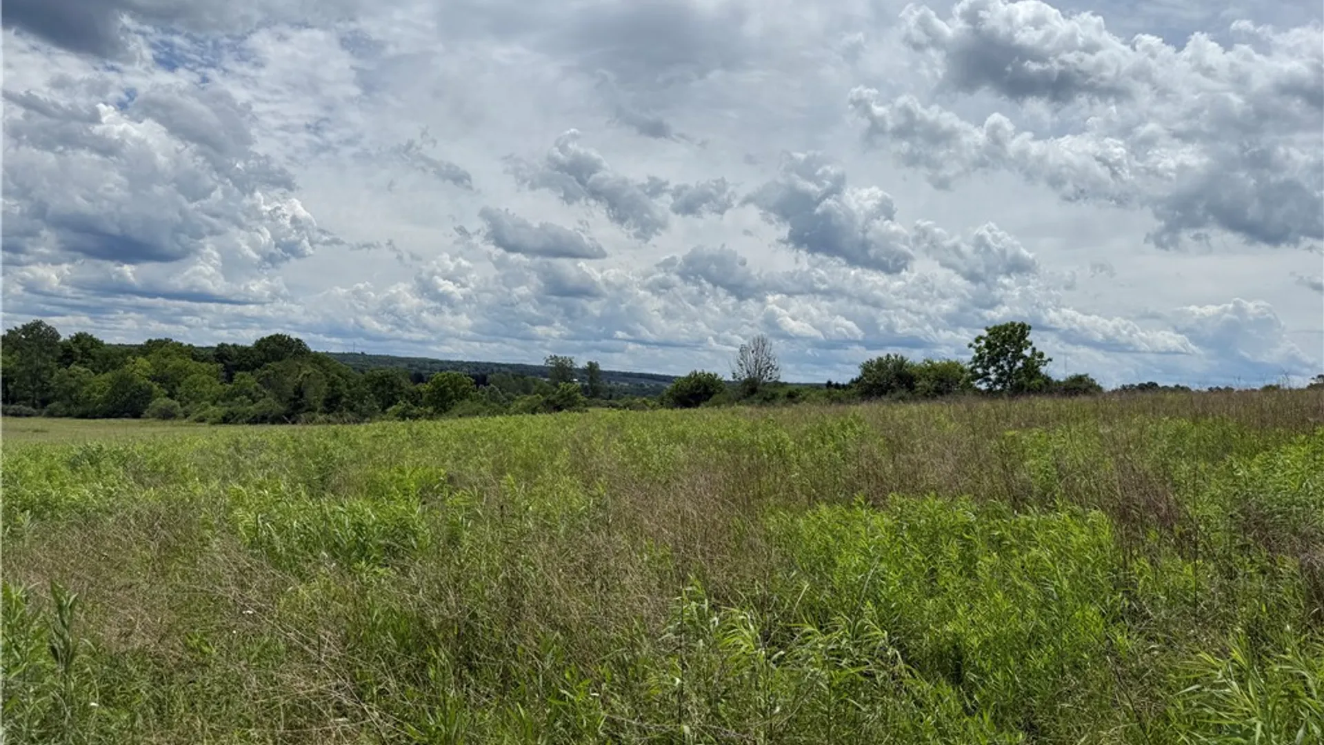 Property at Tucker Road, Enfield, NY 14886 11
