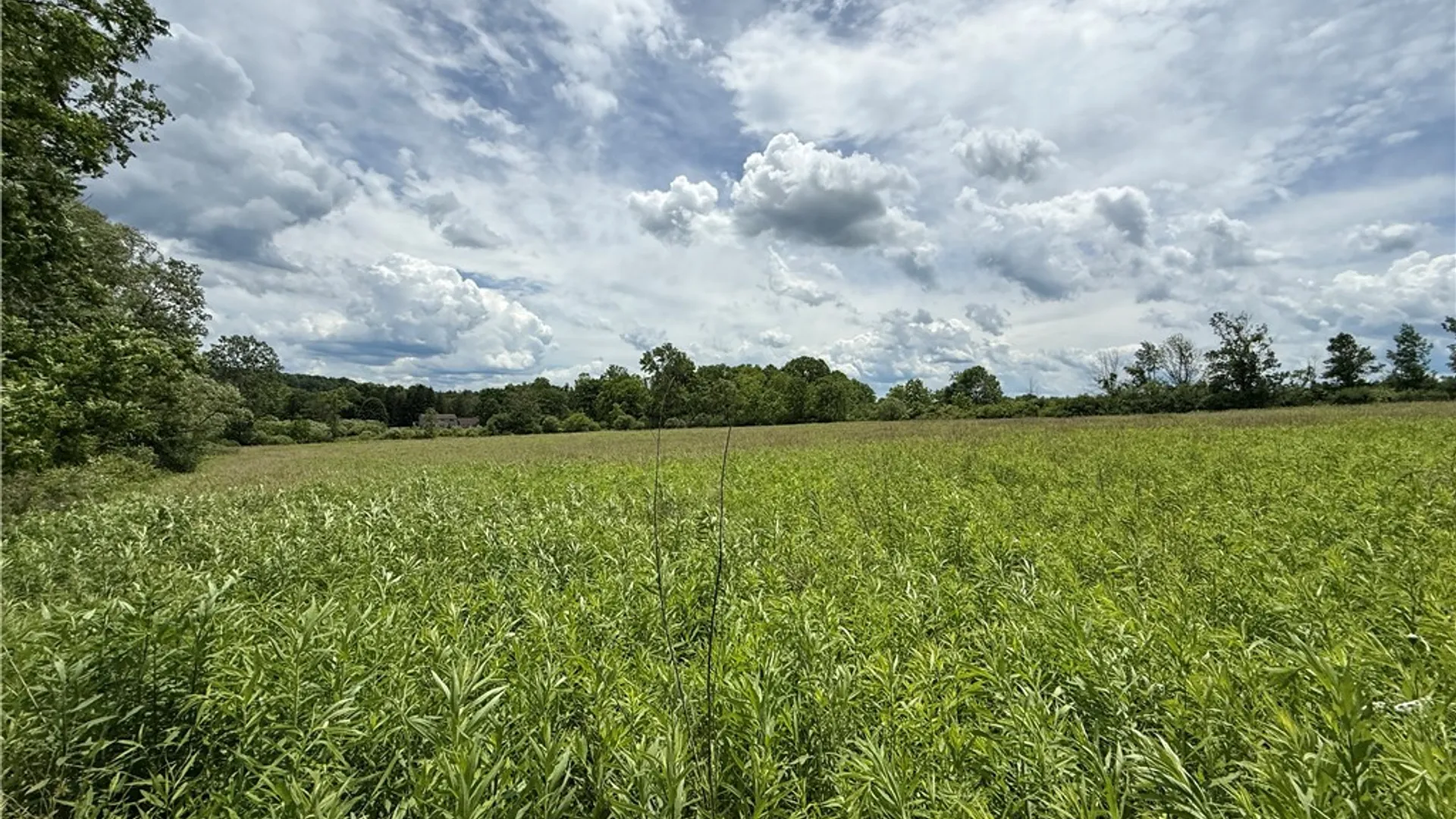 Property at Tucker Road, Enfield, NY 14886 16