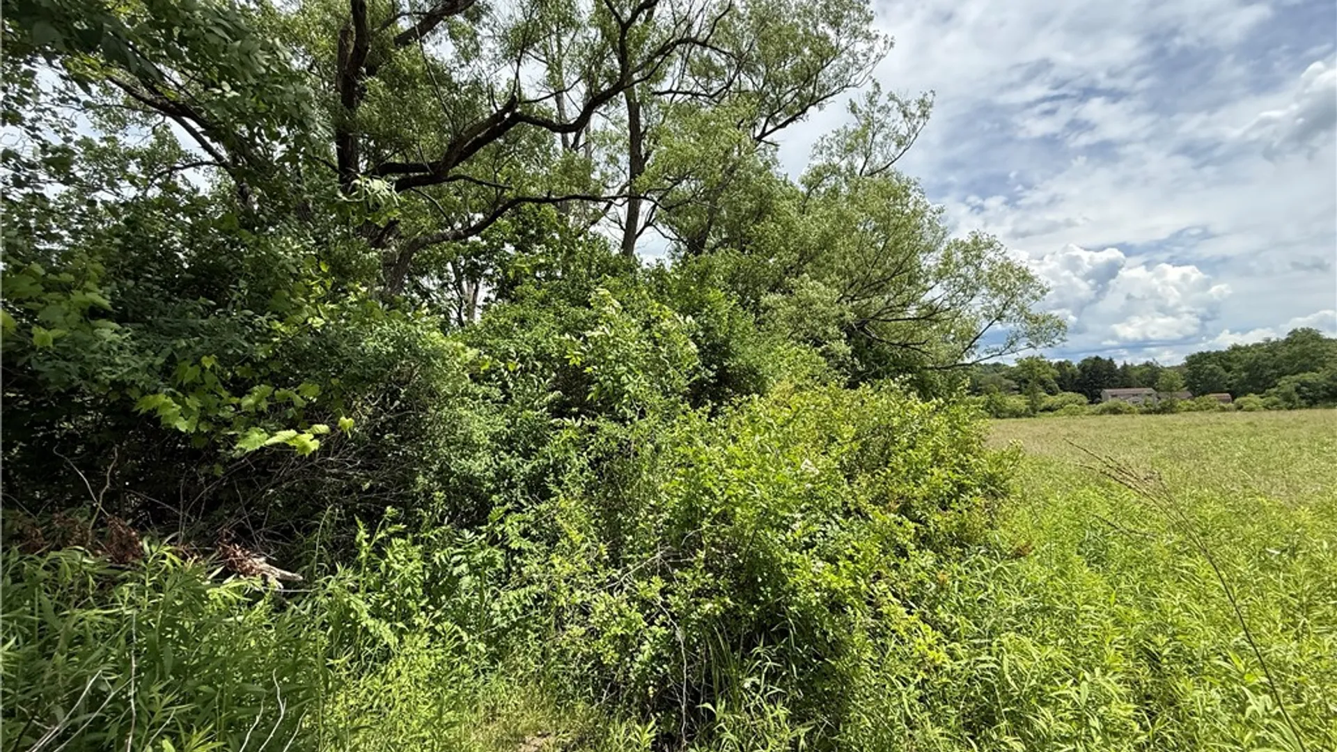 Property at Tucker Road, Enfield, NY 14886 17