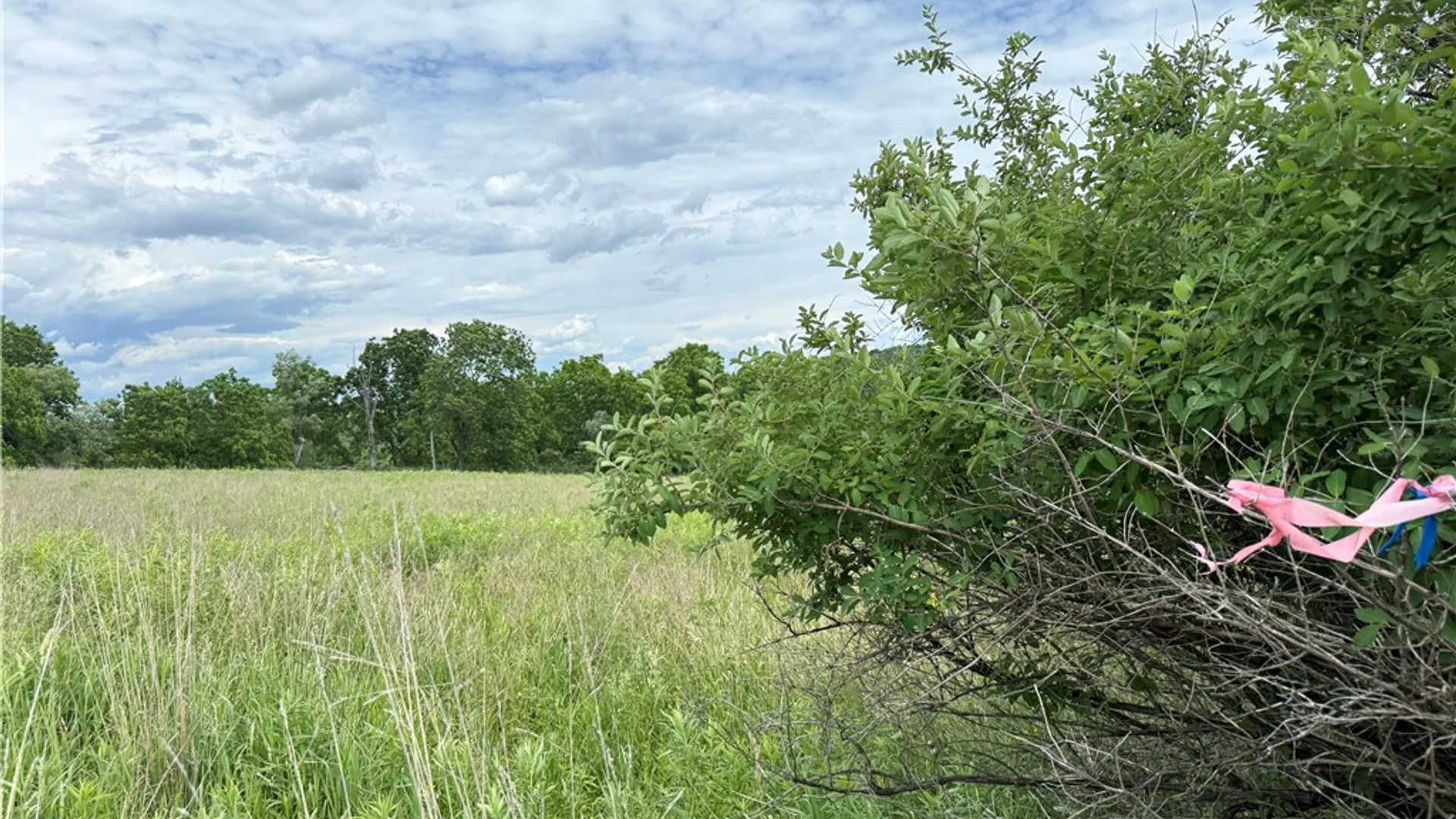 Property at Tucker Road, Enfield, NY 14886 25