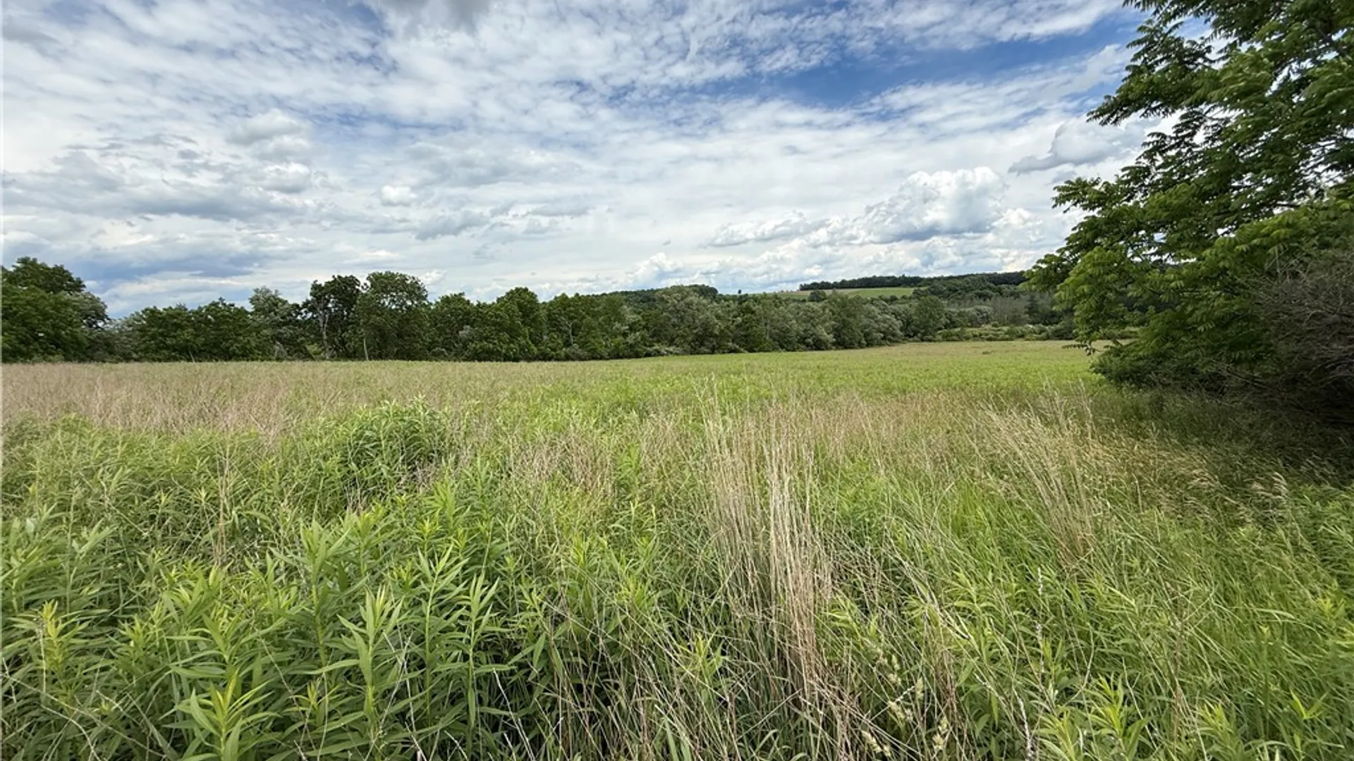 Property at Tucker Road, Enfield, NY 14886 26