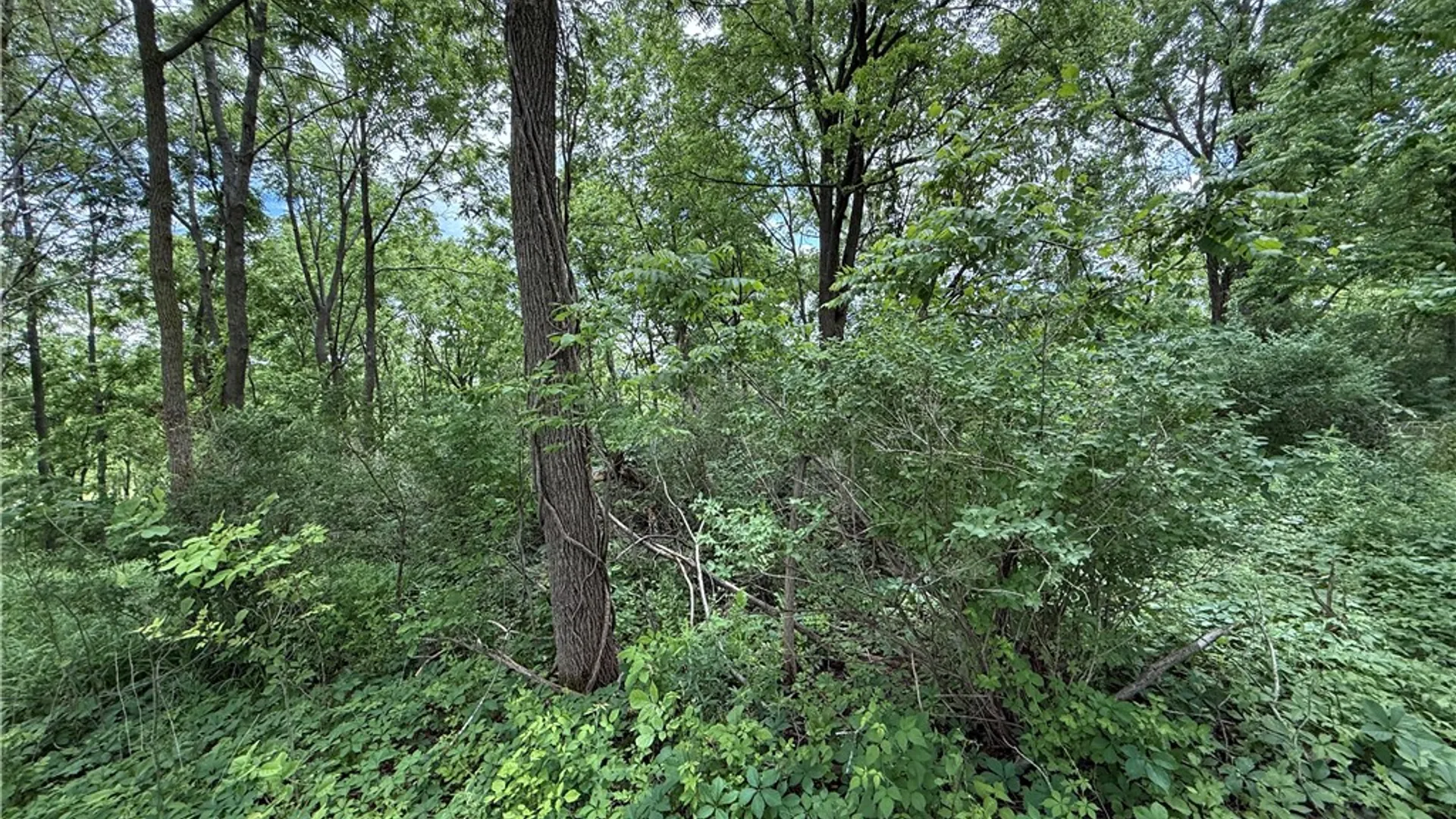 Property at Tucker Road, Enfield, NY 14886 29