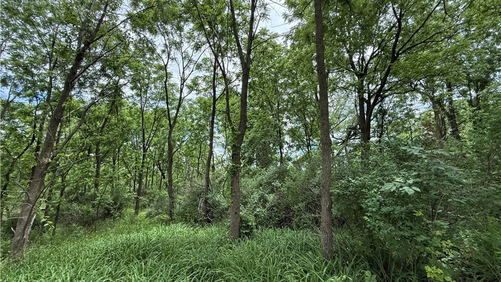 Property at Tucker Road, Enfield, NY 14886 30