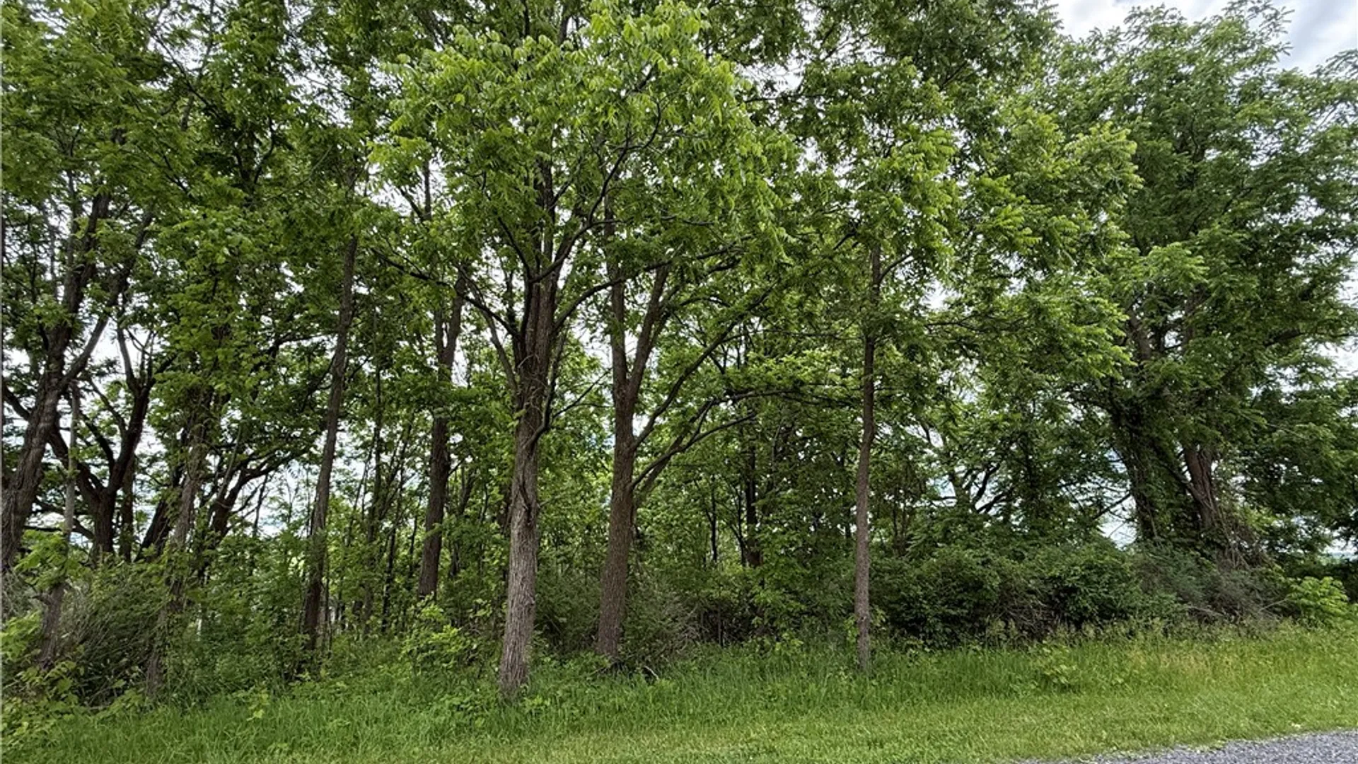 Property at Tucker Road, Enfield, NY 14886 31