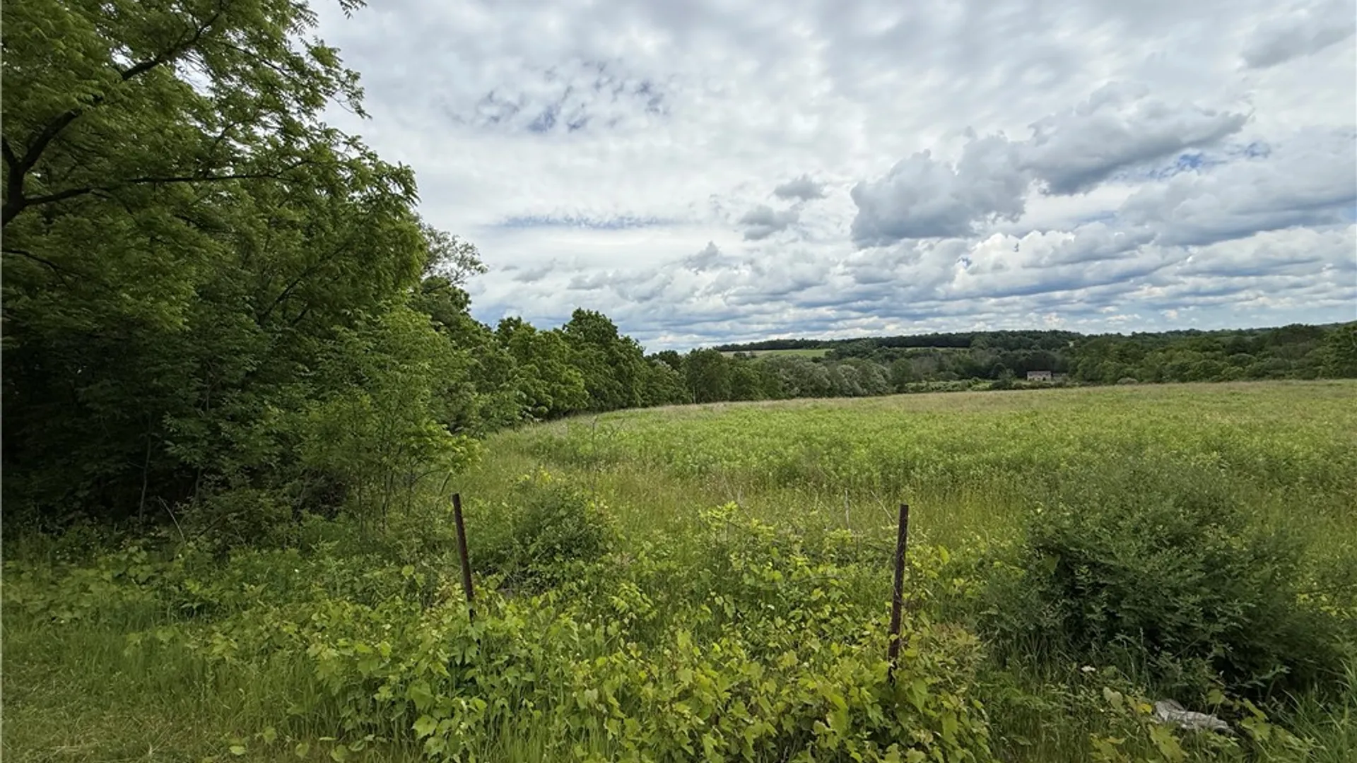 Property at Tucker Road, Enfield, NY 14886 4