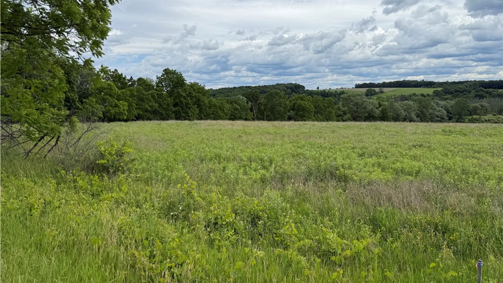 Property at Tucker Road, Enfield, NY 14886 5