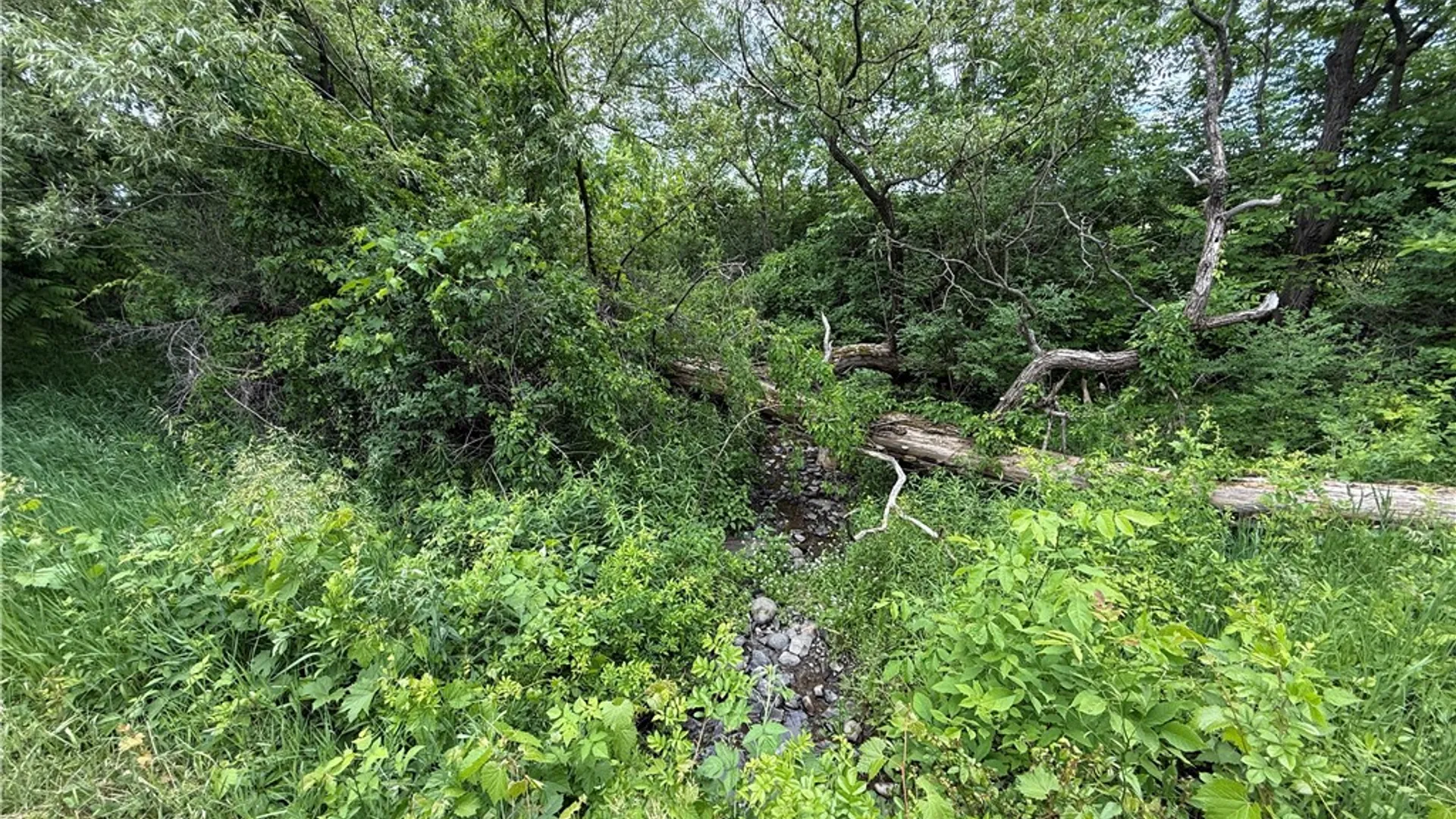 Property at Tucker Road, Enfield, NY 14886 7