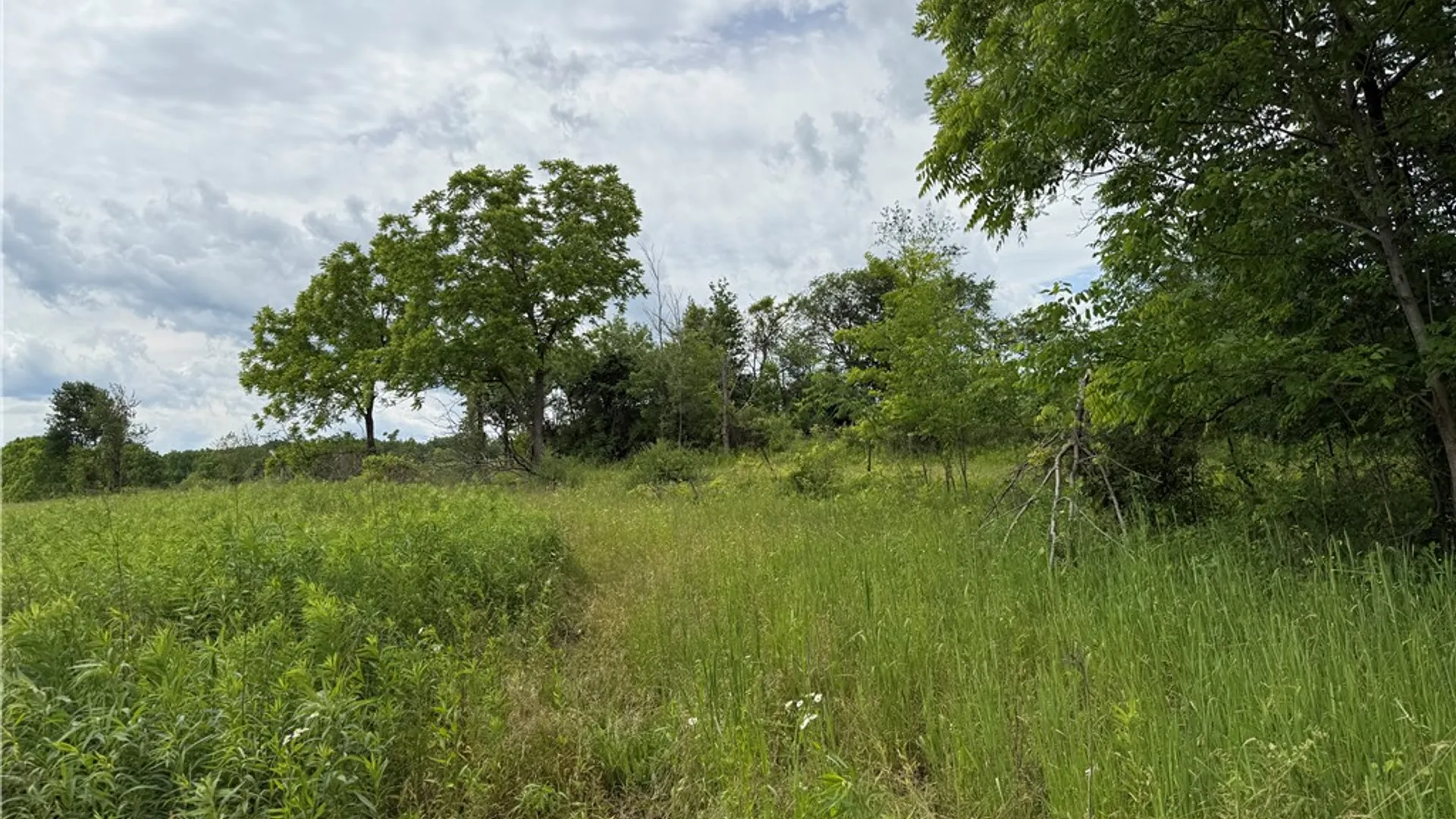 Property at Tucker Road, Enfield, NY 14886 8