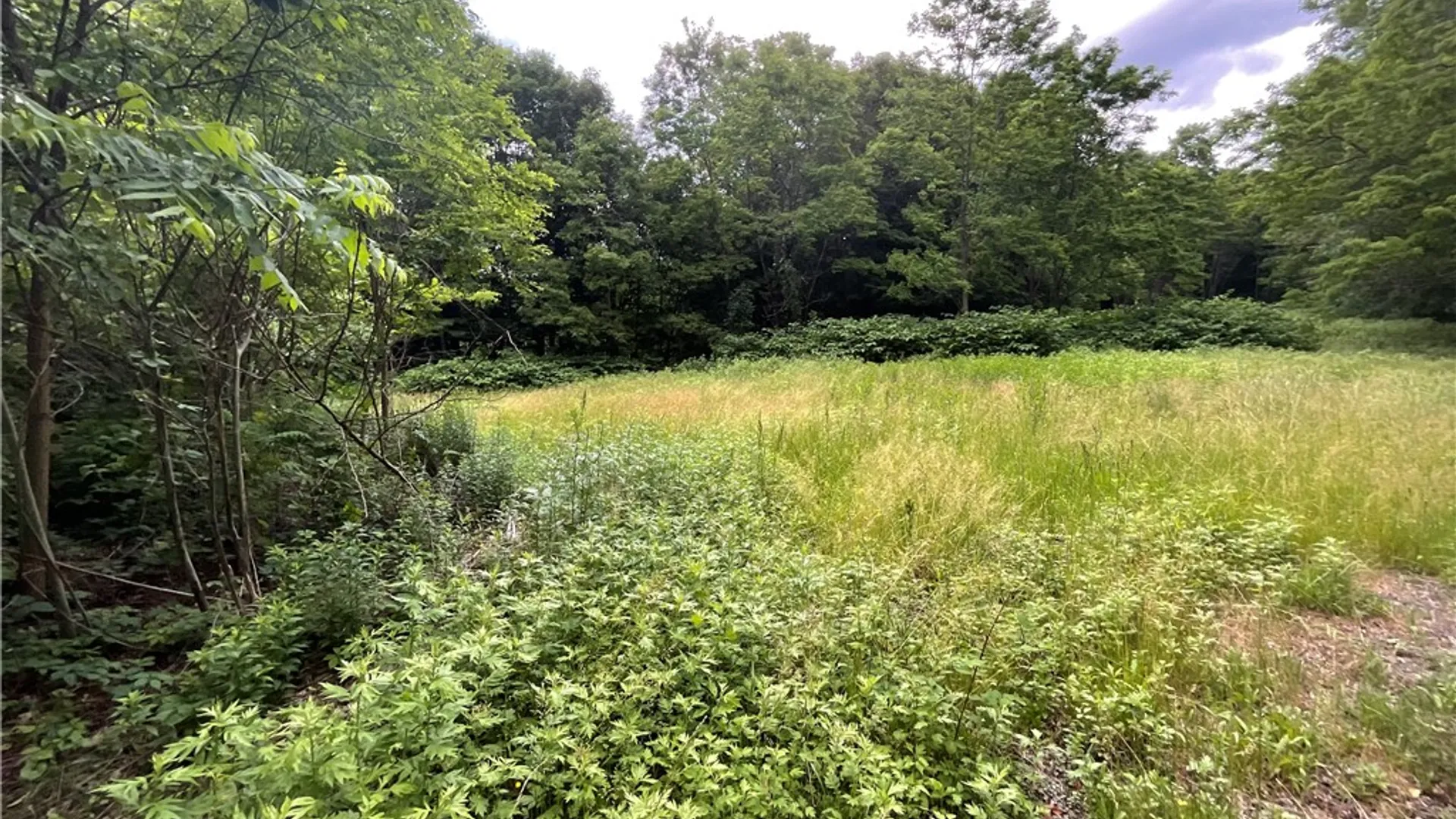 Property at 7537 East Avenue, Springwater, NY 14560 2