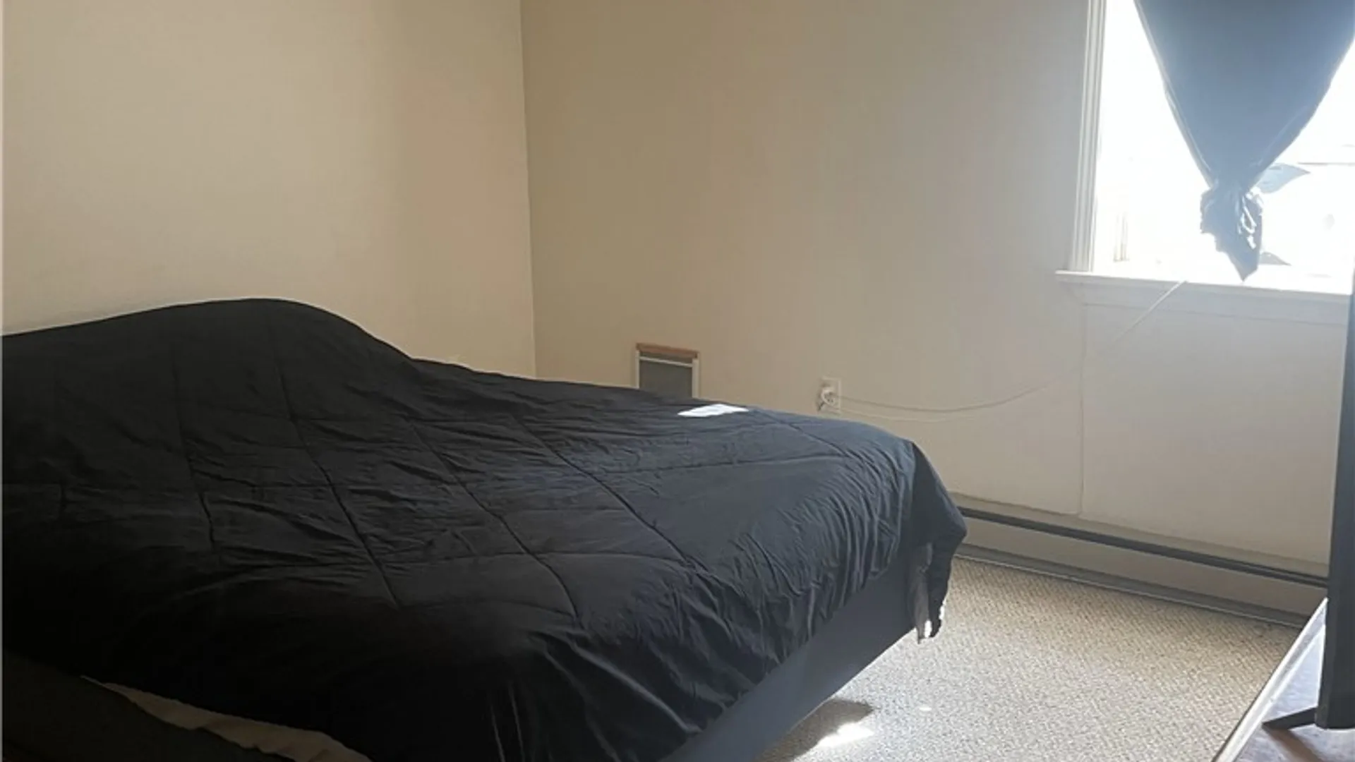 Property at 101 Main Street, Phelps, NY 14532 49